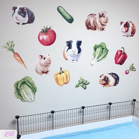 Why You Should Make a Fun Habitat for Your Small Pet!