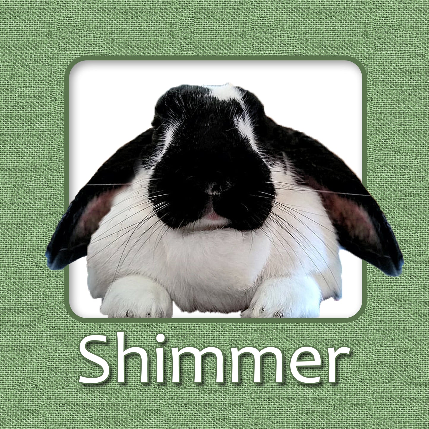 Bunny Rabbit Name Tag with Picture of Your Rabbit - 3-D Effect Burlap - Cage Tag 8"x8"