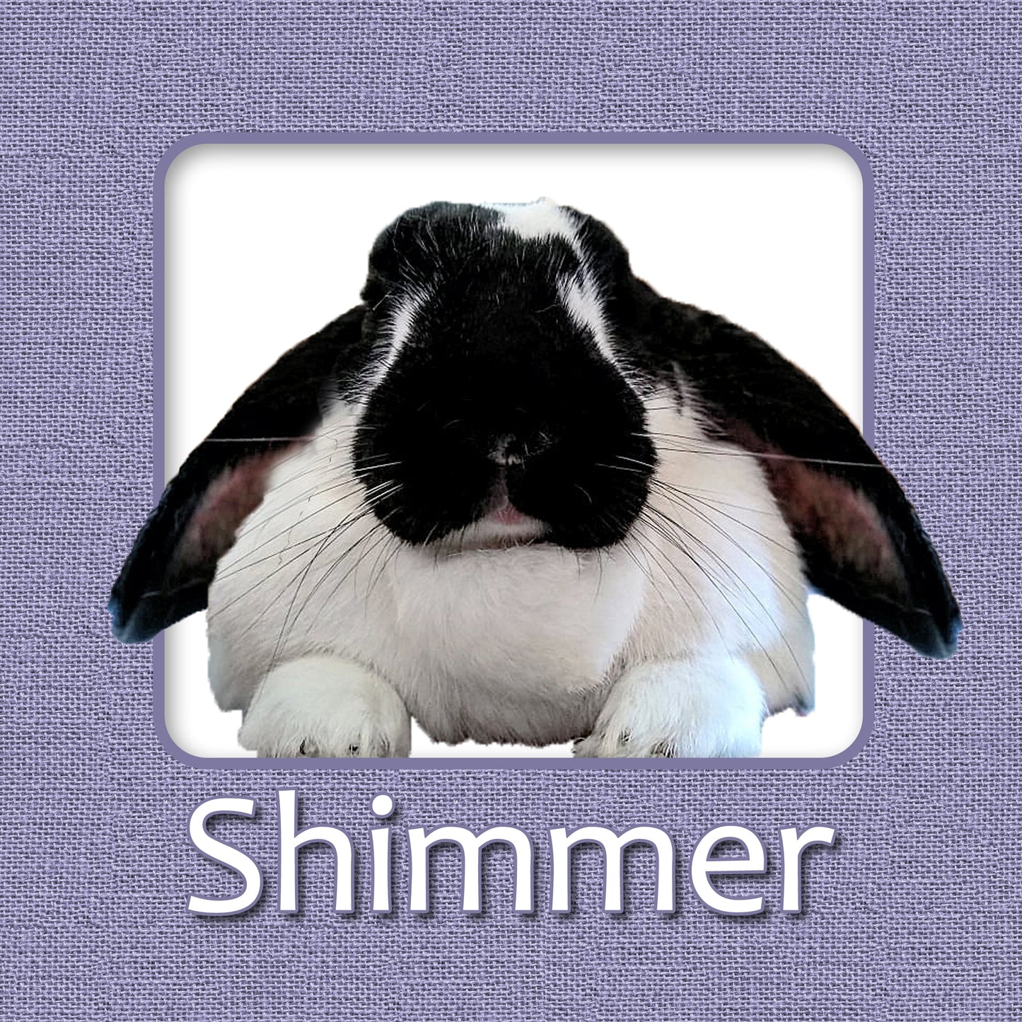 Bunny Rabbit Name Tag with Picture of Your Rabbit - 3-D Effect Burlap - Cage Tag 8"x8"