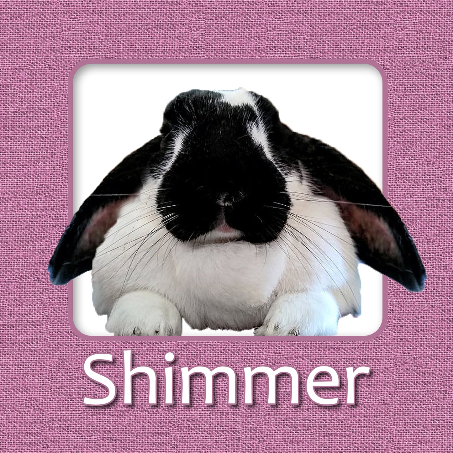 Bunny Rabbit Name Tag with Picture of Your Rabbit - 3-D Effect Burlap - Cage Tag 8"x8"