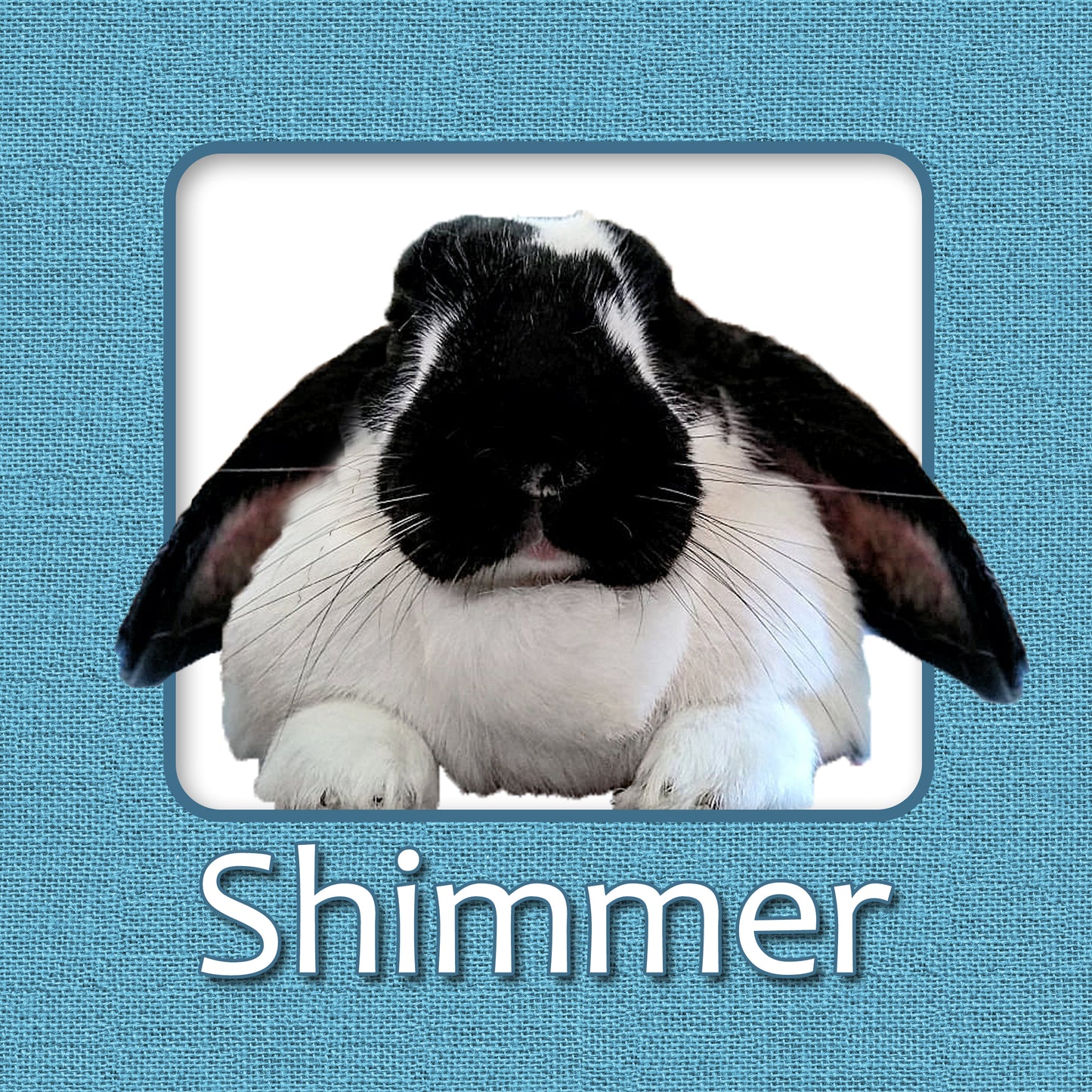 Bunny Rabbit Name Tag with Picture of Your Rabbit - 3-D Effect Burlap - Cage Tag 8"x8"