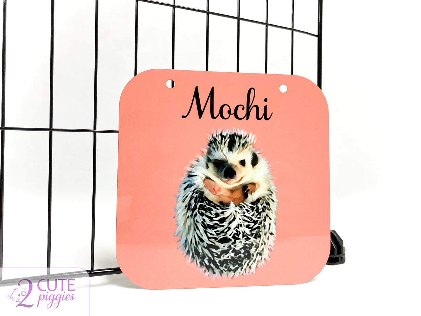 Hedgehog Name Tag with Picture of Your Hedgehog - Oil Painting Effect - Cage Tag