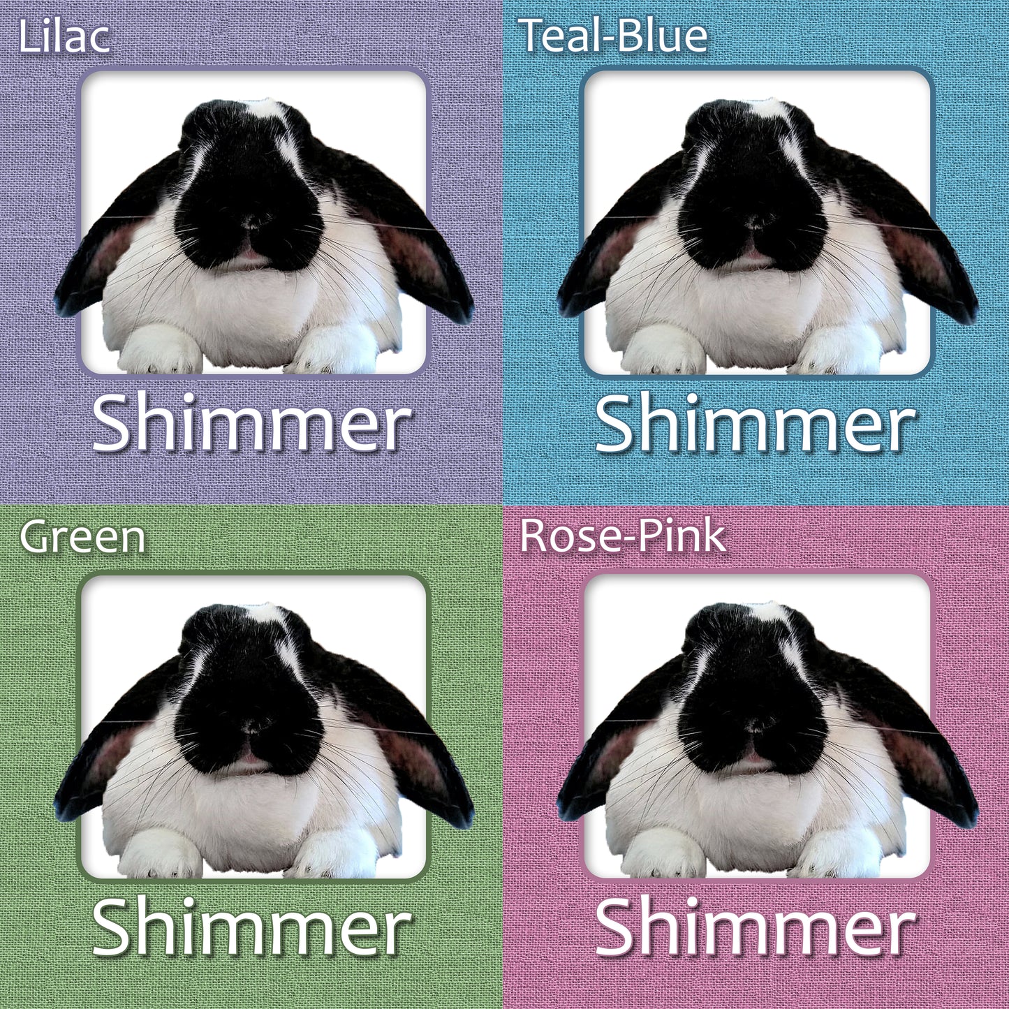 Bunny Rabbit Name Tag with Picture of Your Rabbit - 3-D Effect Burlap - Cage Tag 8"x8"