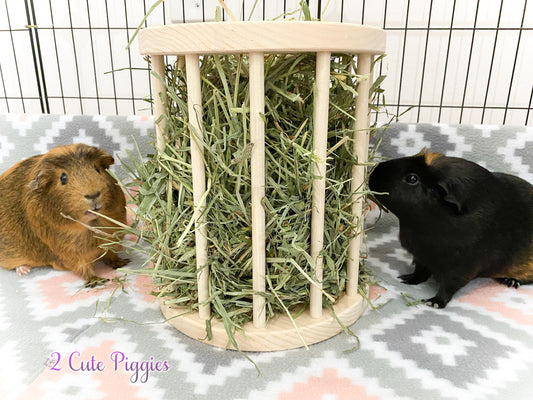 Guinea Pig Hay Feeder - Cylinder