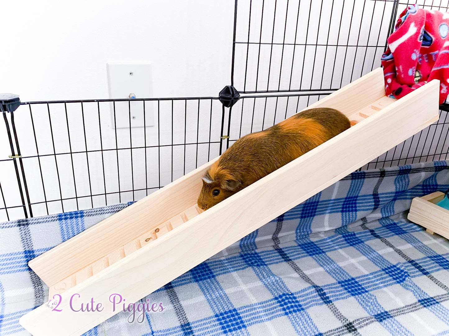 Guinea Pig Ramp with Sides - 7.25" Width