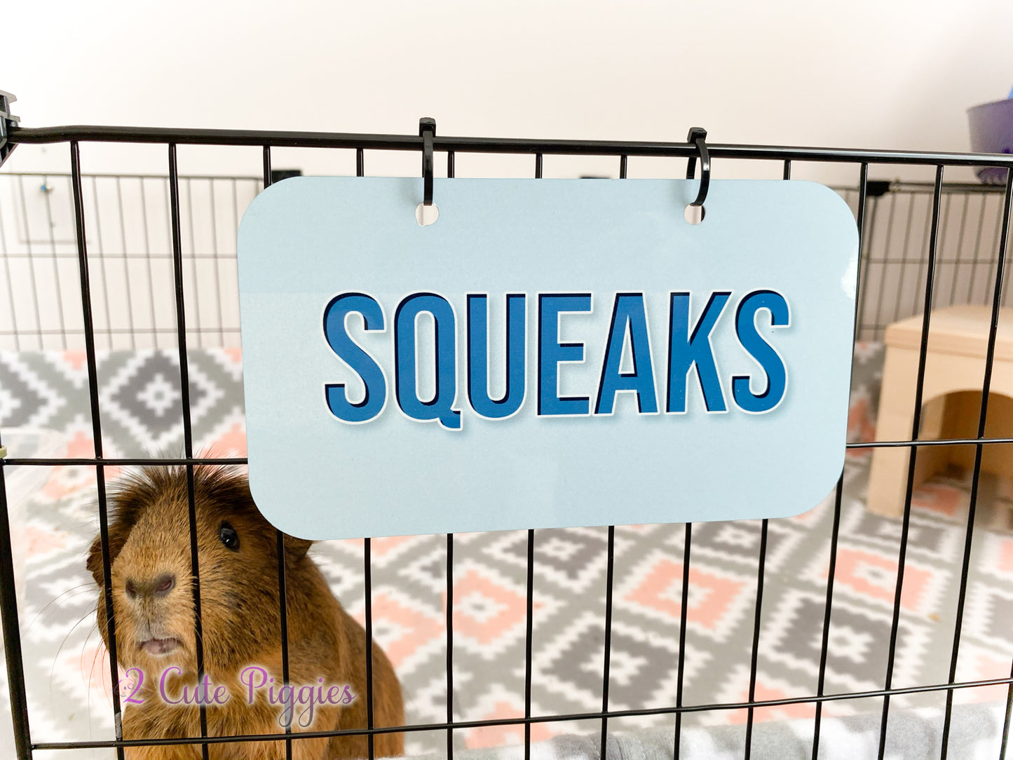 Pet Name Tag - Name Only - 4"x7"