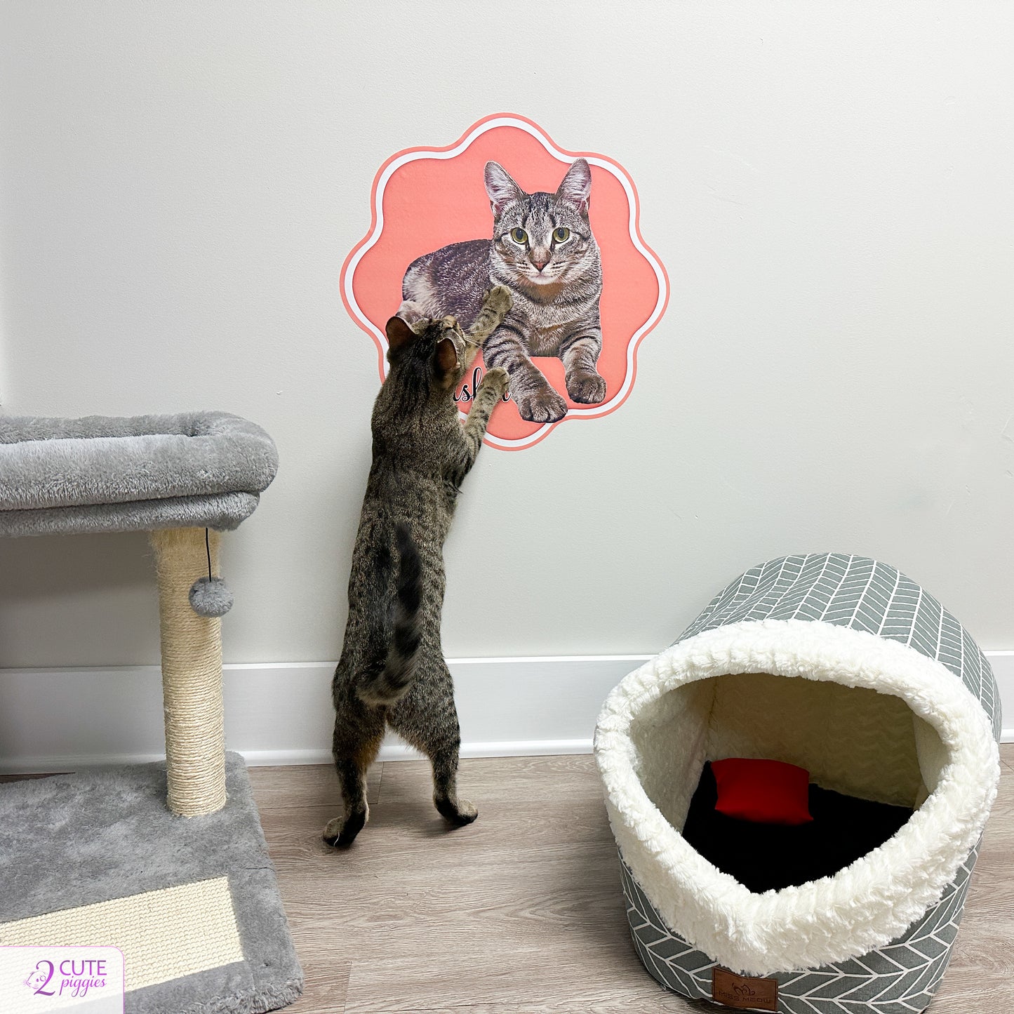 Cat Name Sign Wall Decal with Picture of Your Cat
