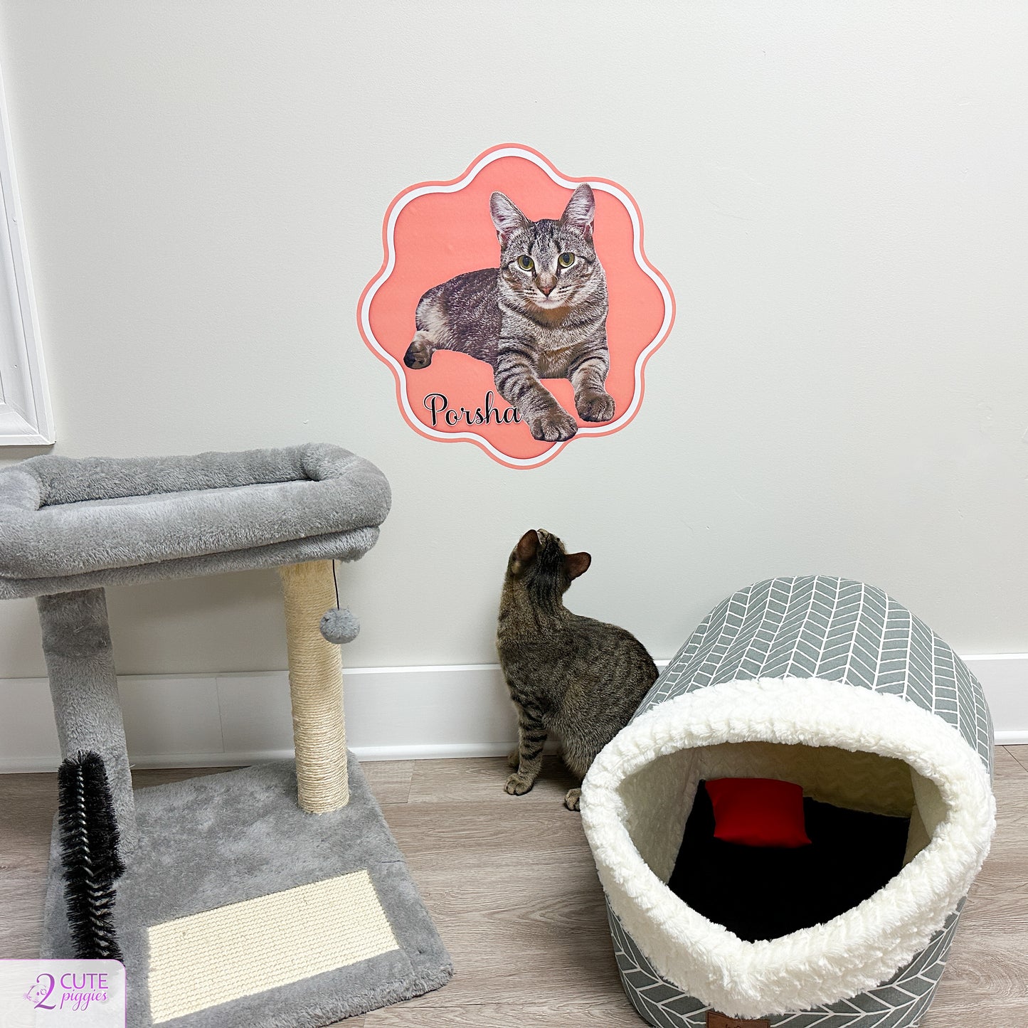 Cat Name Sign Wall Decal with Picture of Your Cat