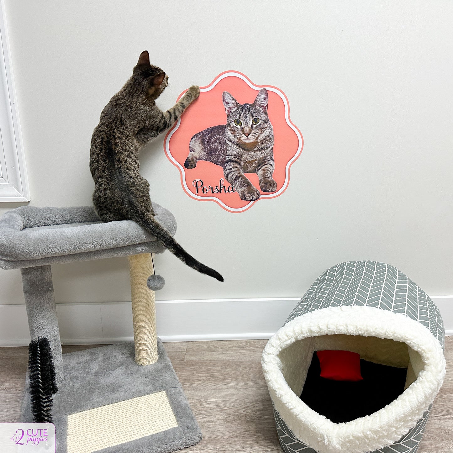 Cat Name Sign Wall Decal with Picture of Your Cat