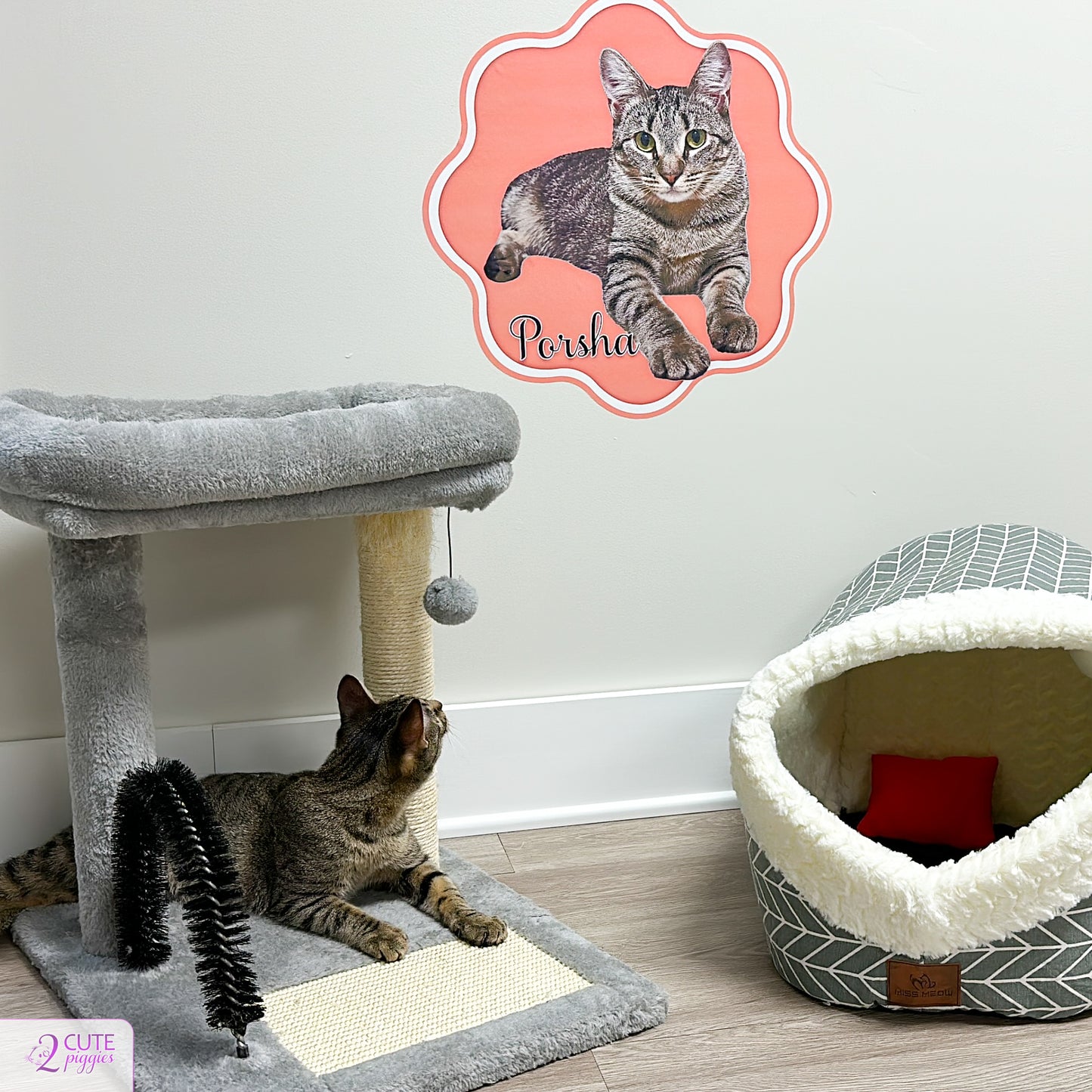 Cat Name Sign Wall Decal with Picture of Your Cat
