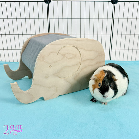 Elephant Guinea Pig Hidey
