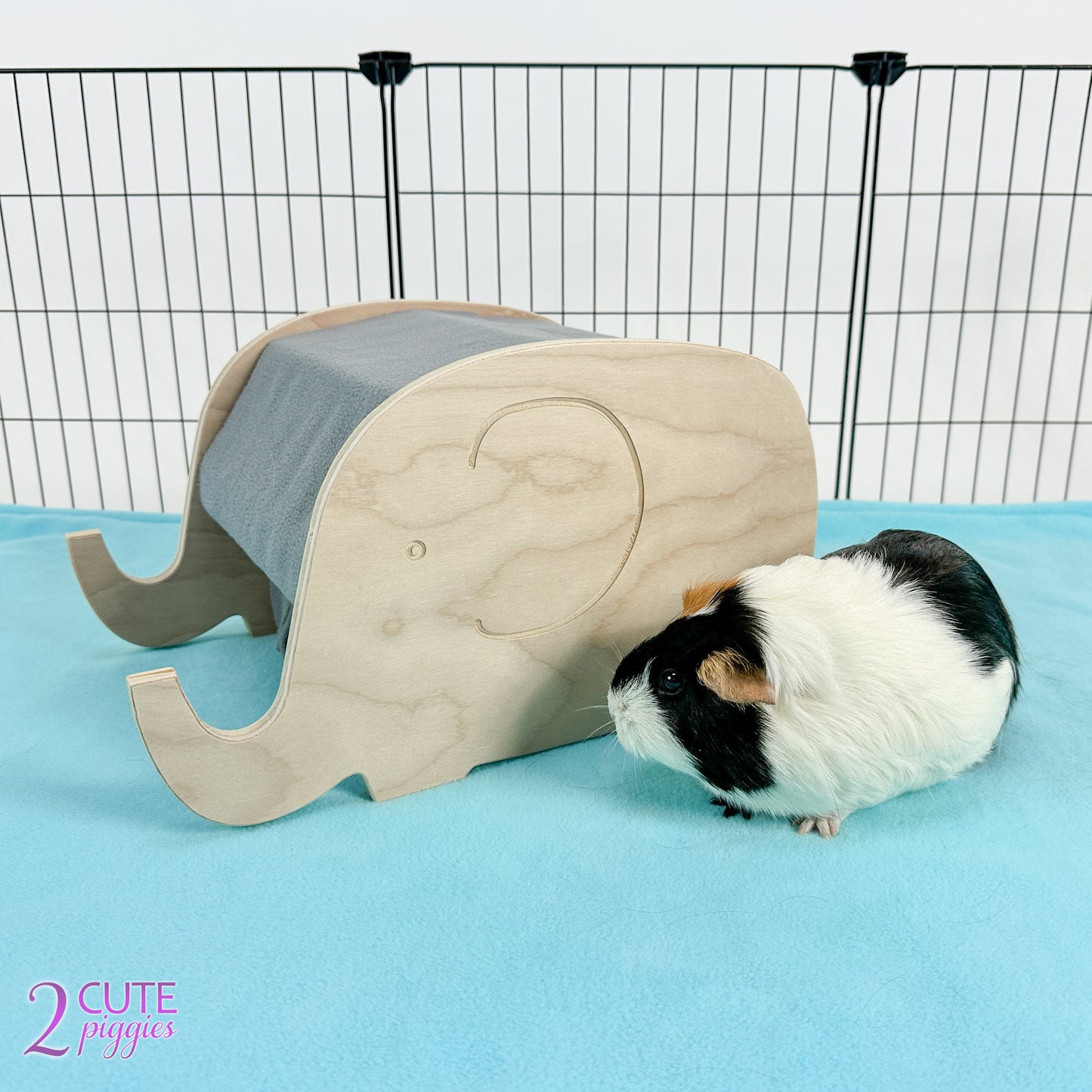 Elephant Guinea Pig Hidey