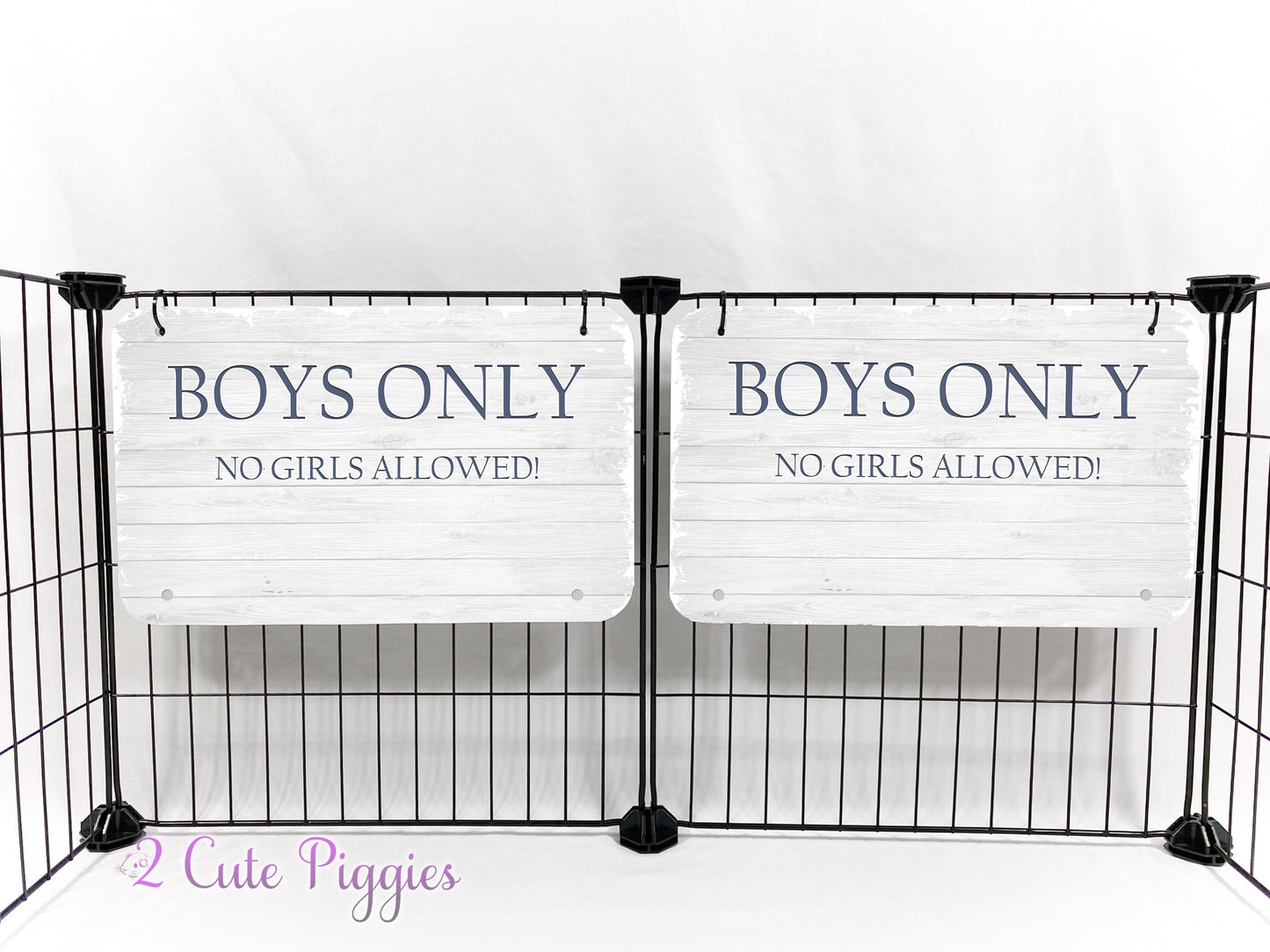 Guinea Pig C&C Cage Decorative Panel - BOYS ONLY - 13"wx9"tall