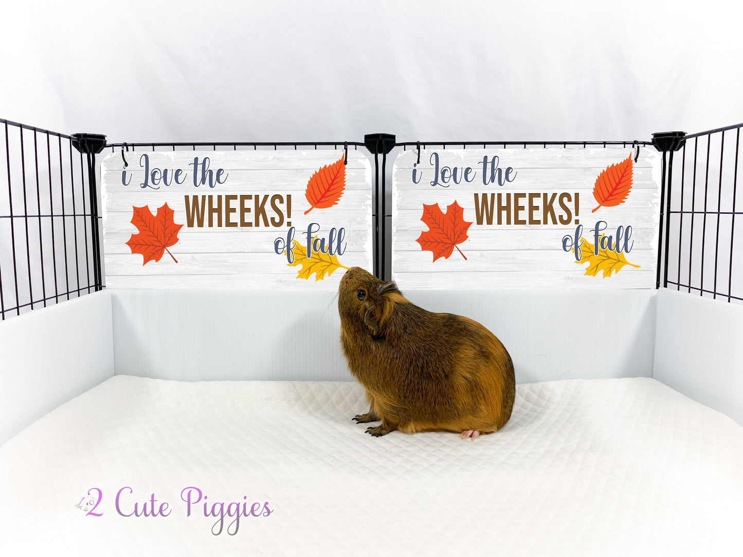 Guinea Pig C&C Cage Decorative Panel - WHEEKS of FALL - 13"wx9"tall