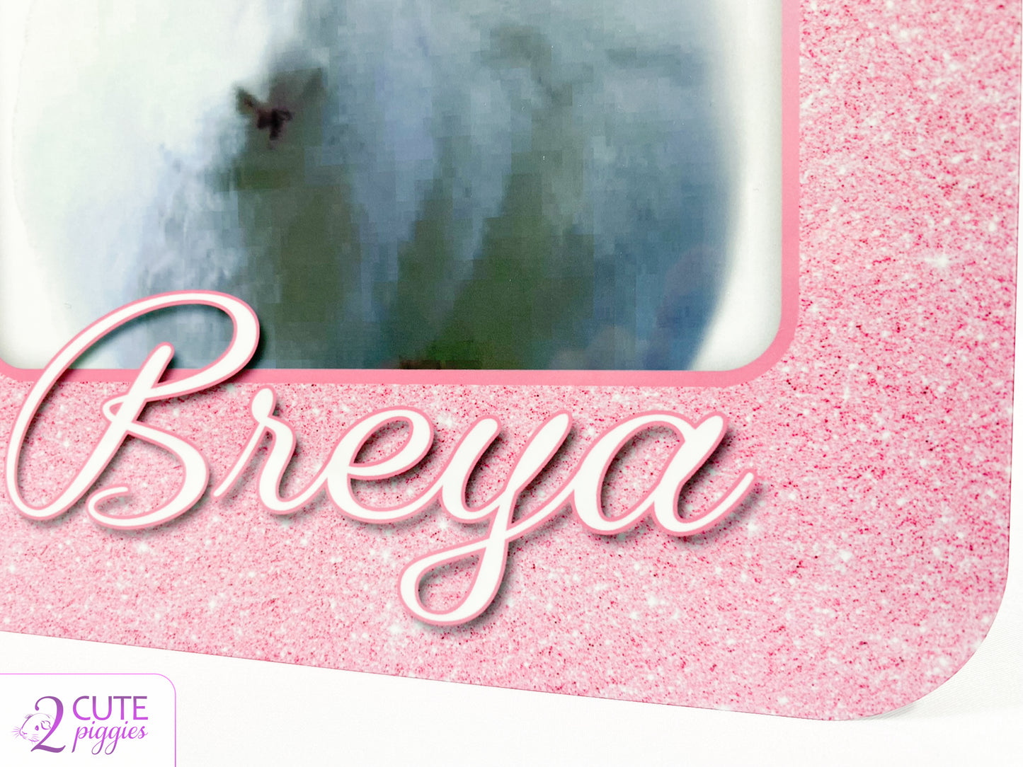 Bunny Rabbit Name Tag with Picture of Your Rabbit - 3-D Effect Glitter - Cage Tag 8"x8"