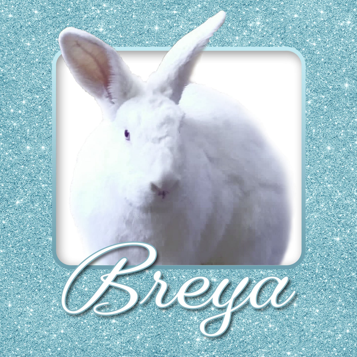 Bunny Rabbit Name Tag with Picture of Your Rabbit - 3-D Effect Glitter - Cage Tag 8"x8"