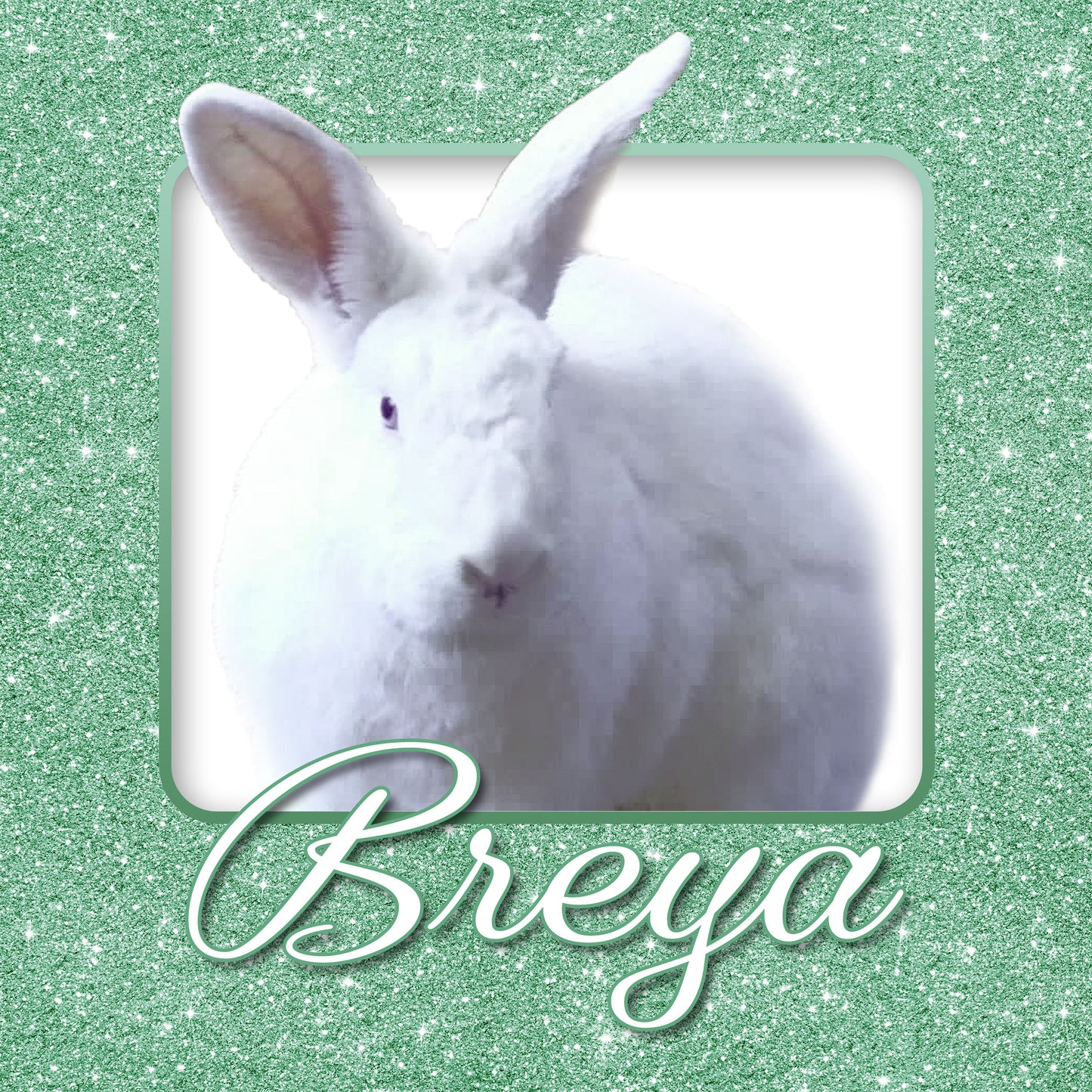 Bunny Rabbit Name Tag with Picture of Your Rabbit - 3-D Effect Glitter - Cage Tag 8"x8"
