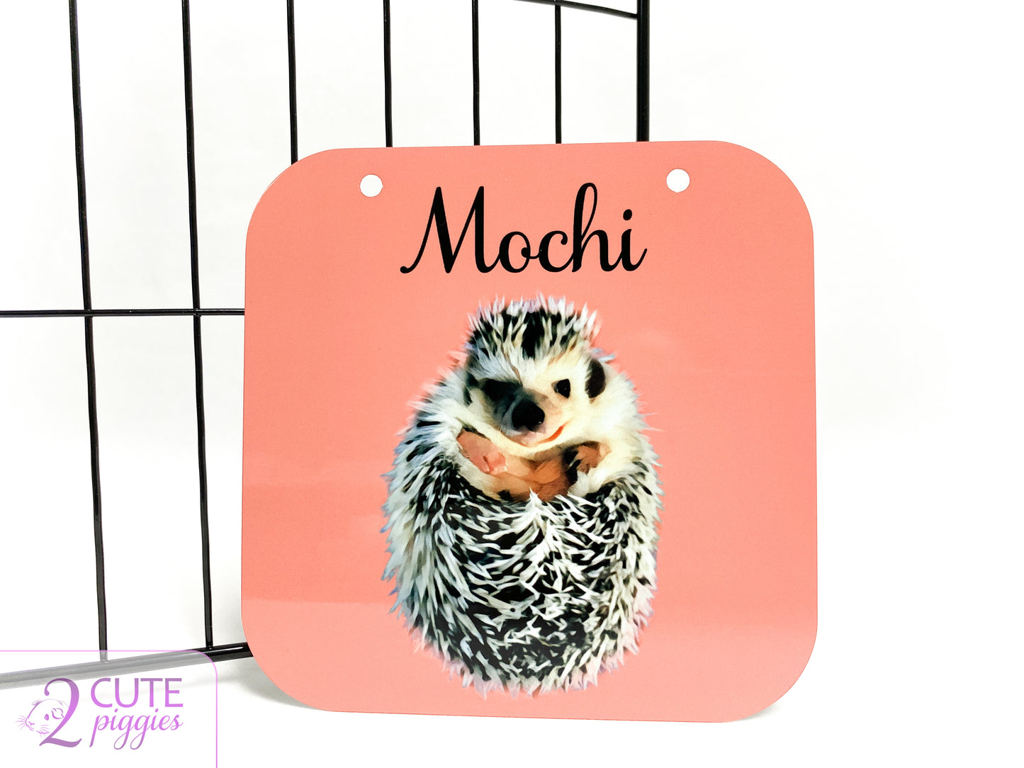 Hedgehog Name Tag with Picture of Your Hedgehog - Oil Painting Effect - Cage Tag