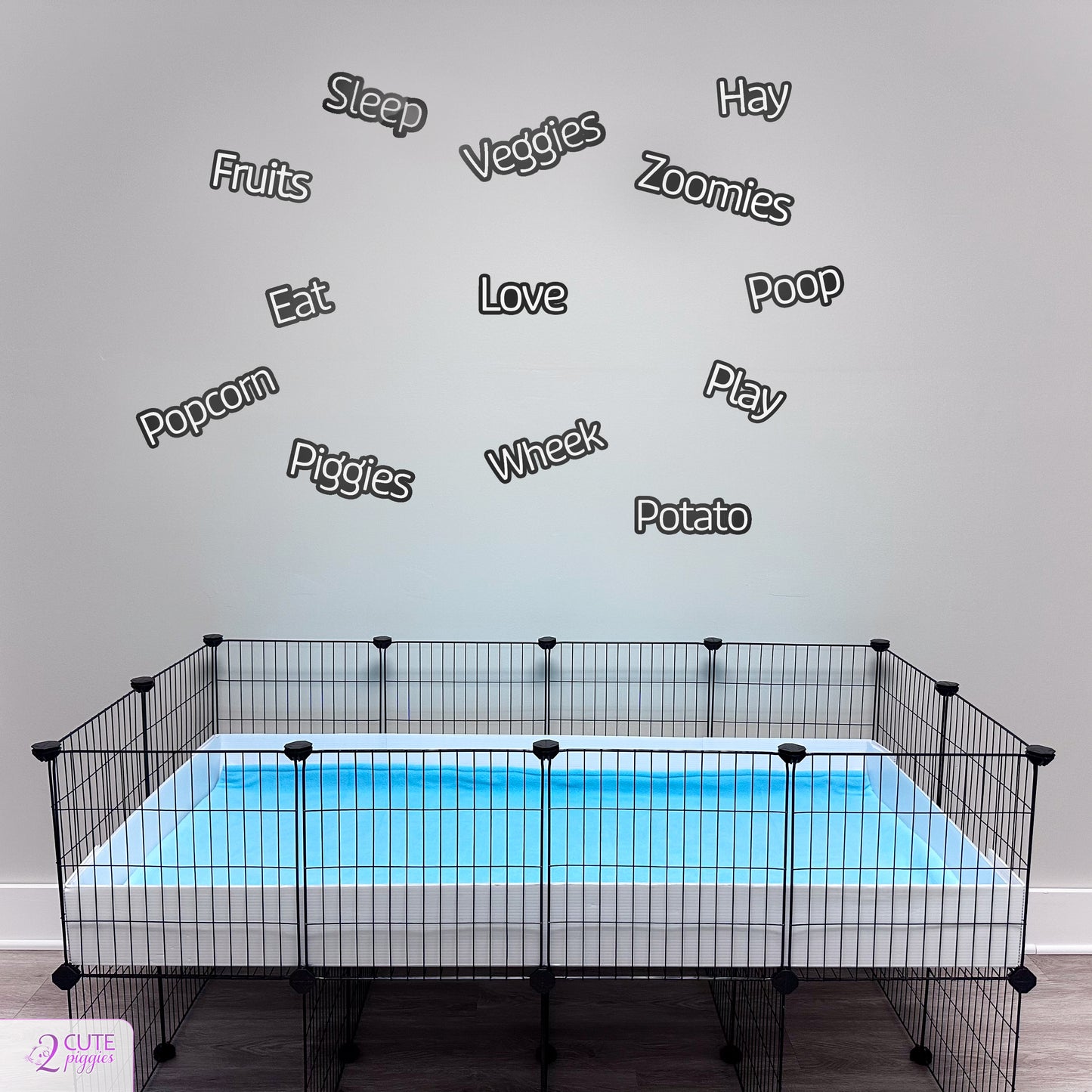 Guinea Pig Words Wall Decals