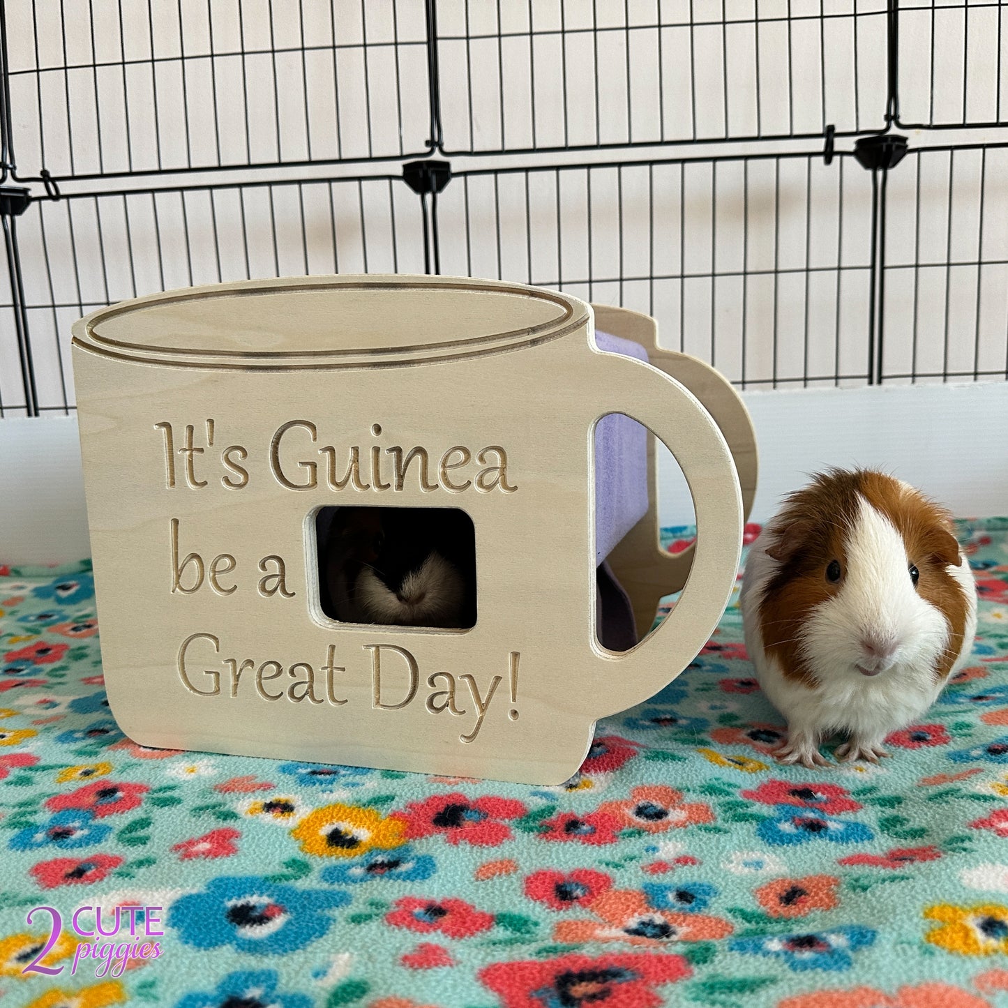 Coffee Cup Guinea Pig Hidey