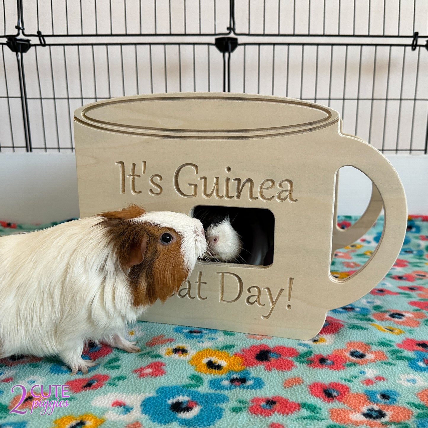 Coffee Cup Guinea Pig Hidey