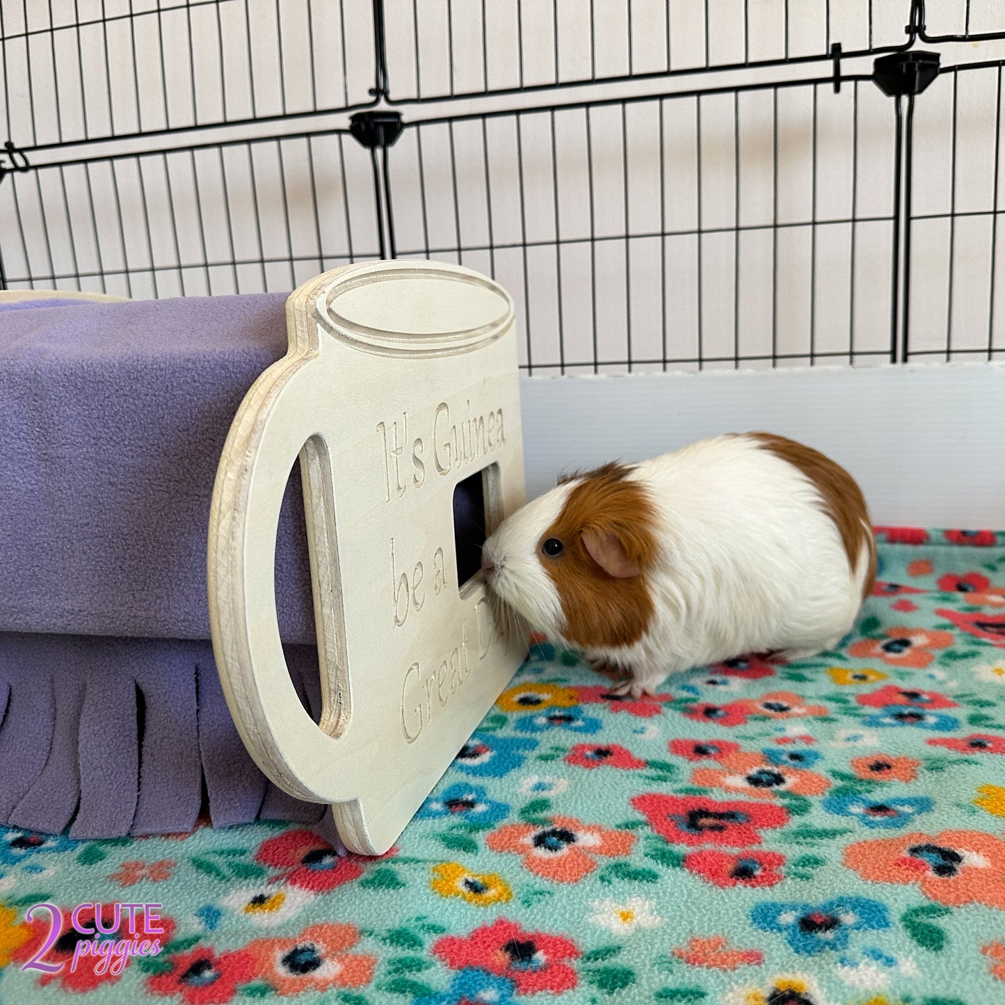 Coffee Cup Guinea Pig Hidey