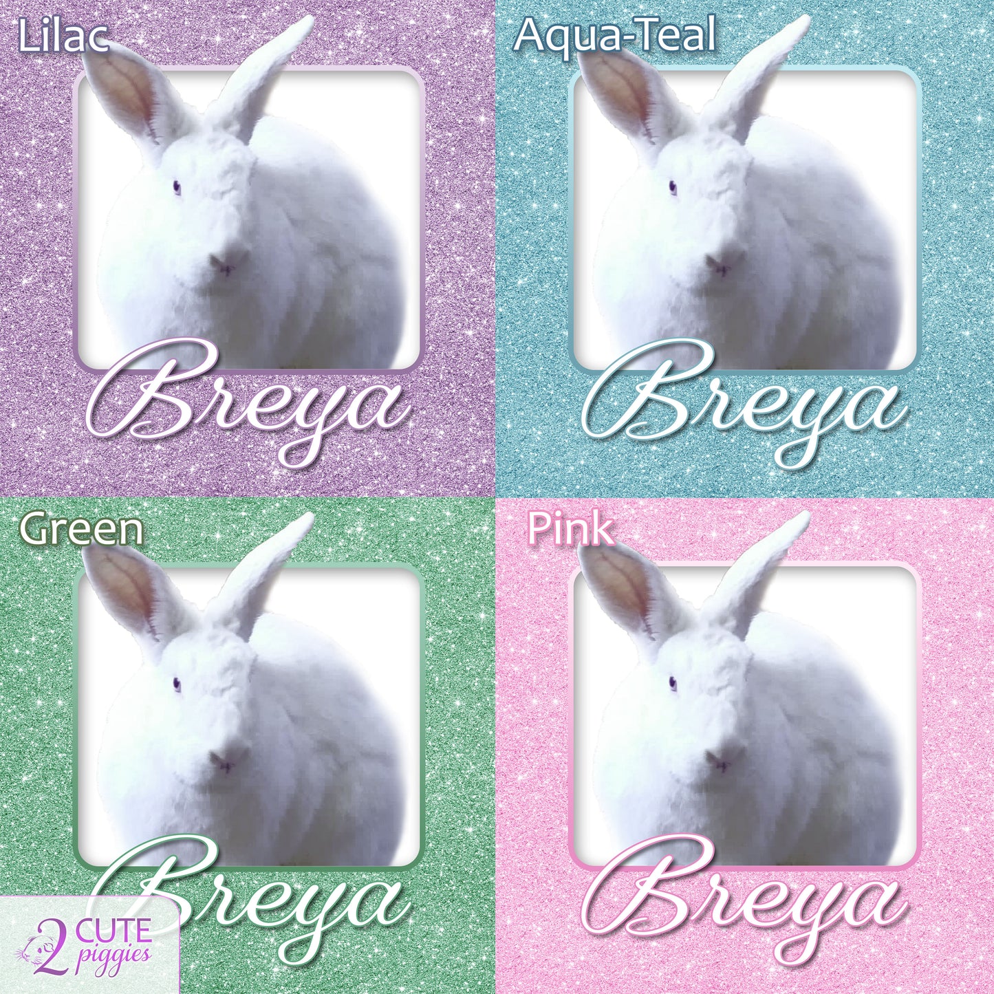 Bunny Rabbit Name Tag with Picture of Your Rabbit - 3-D Effect Glitter - Cage Tag 8"x8"