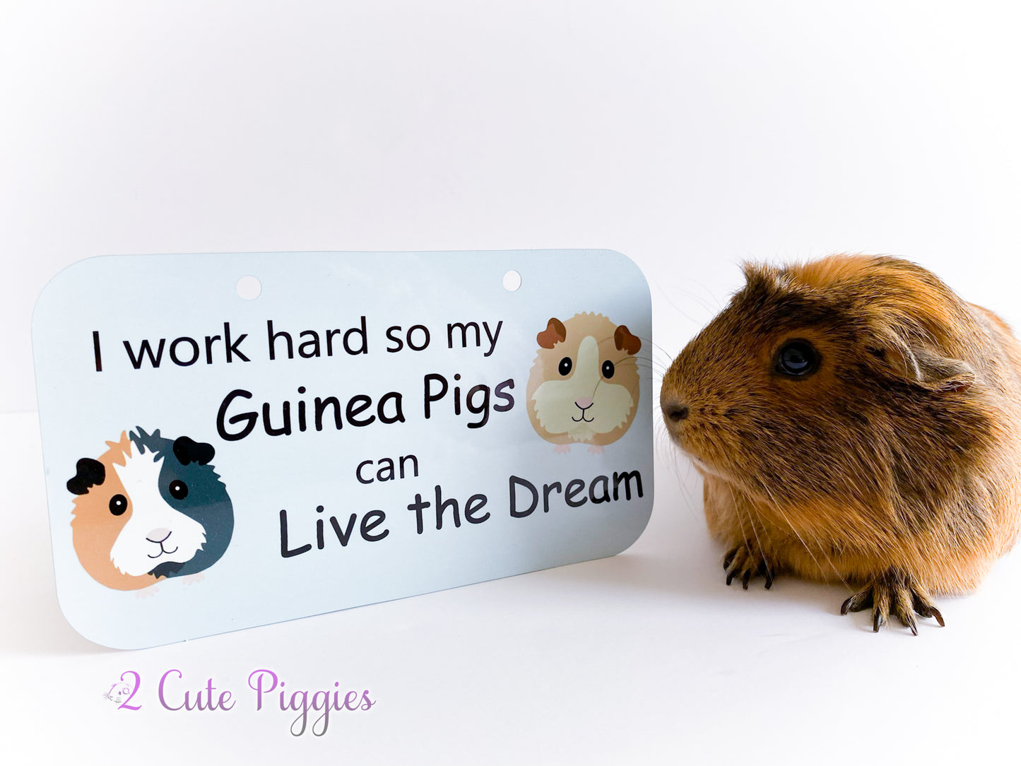 I work hard so my Guinea Pigs can Live the Dream - Cage Tag - 4"x7"