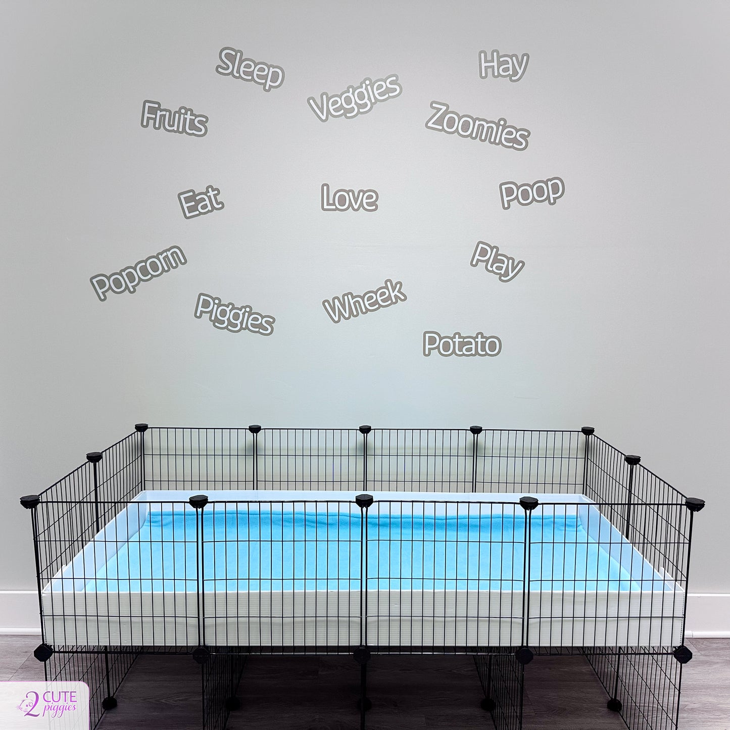 Guinea Pig Words Wall Decals