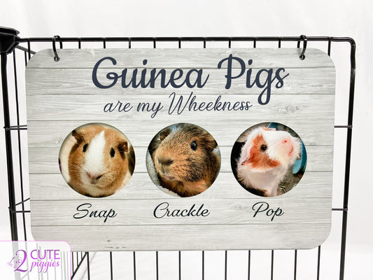 Guinea Pig Name Tag with Pictures of Your Guinea Pigs - Multiple Photo