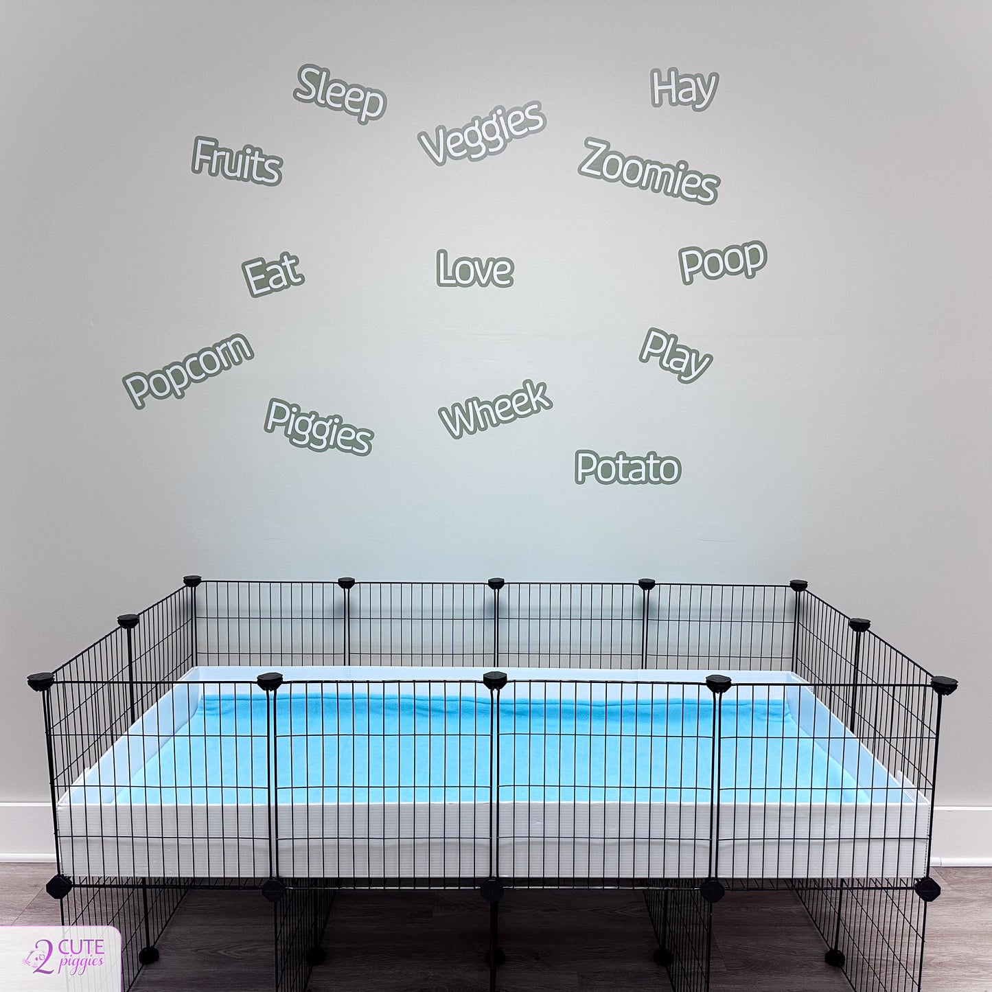 Guinea Pig Words Wall Decals