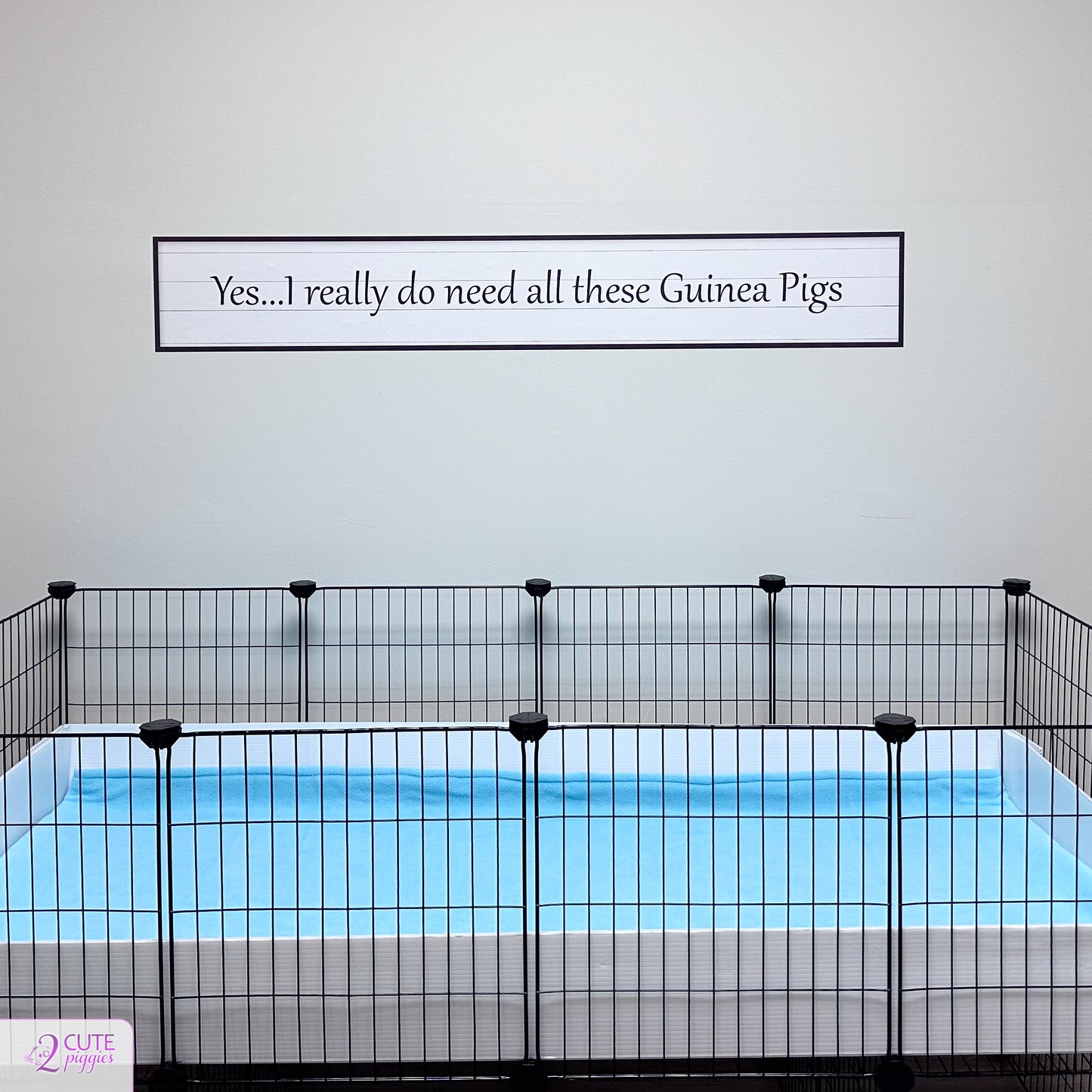 Guinea Pig Sign Wall Decal - Choice of Saying