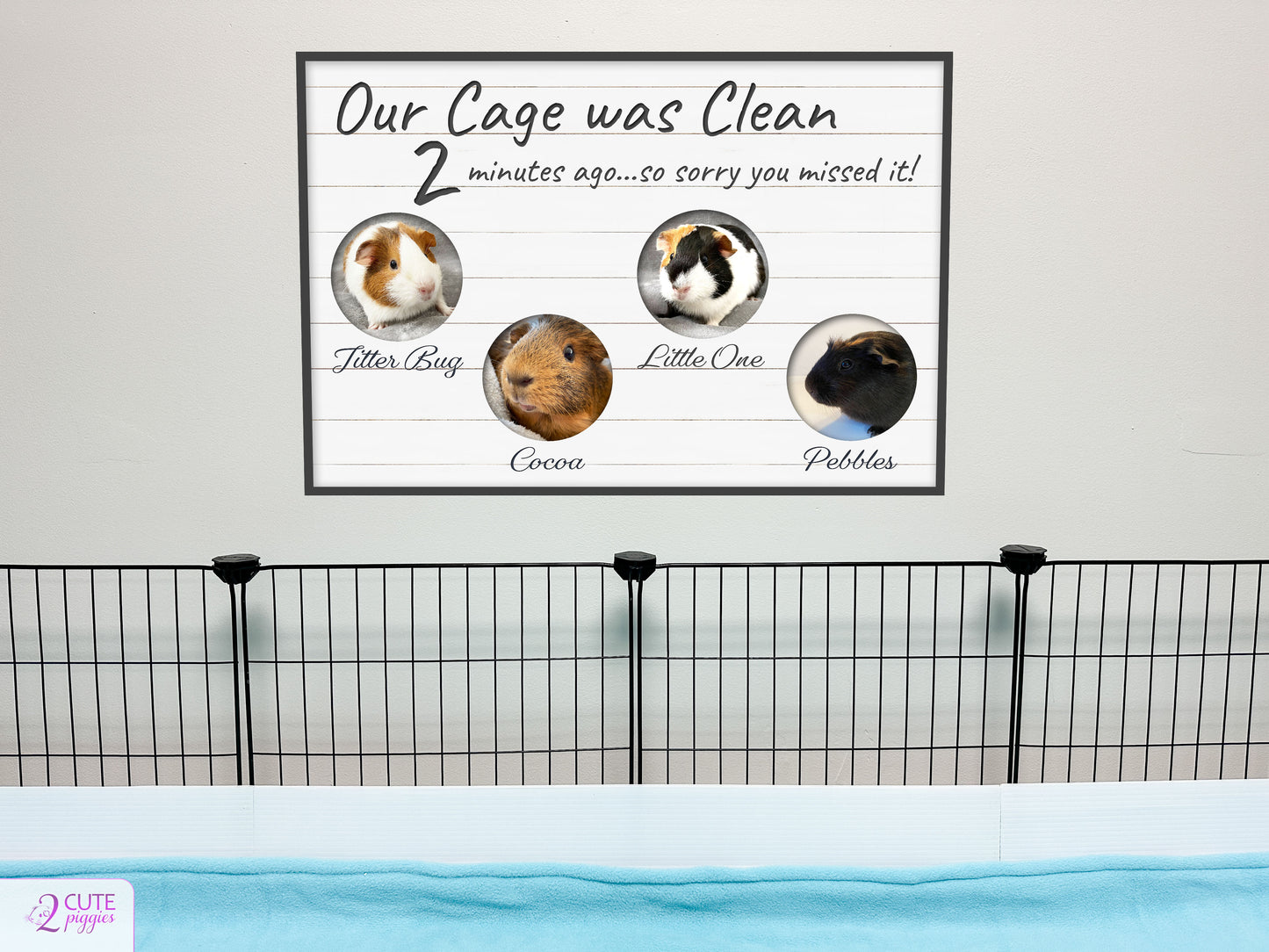 Guinea Pig Sign Wall Decal with Pictures of Your Guinea Pigs- Multiple Photo