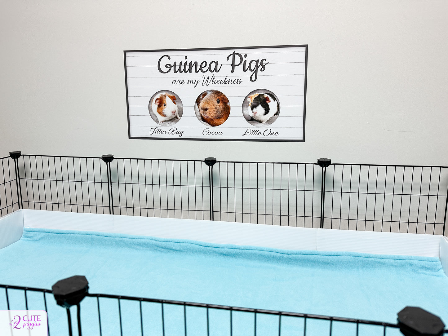 Guinea Pig Sign Wall Decal with Pictures of Your Guinea Pigs- Multiple Photo