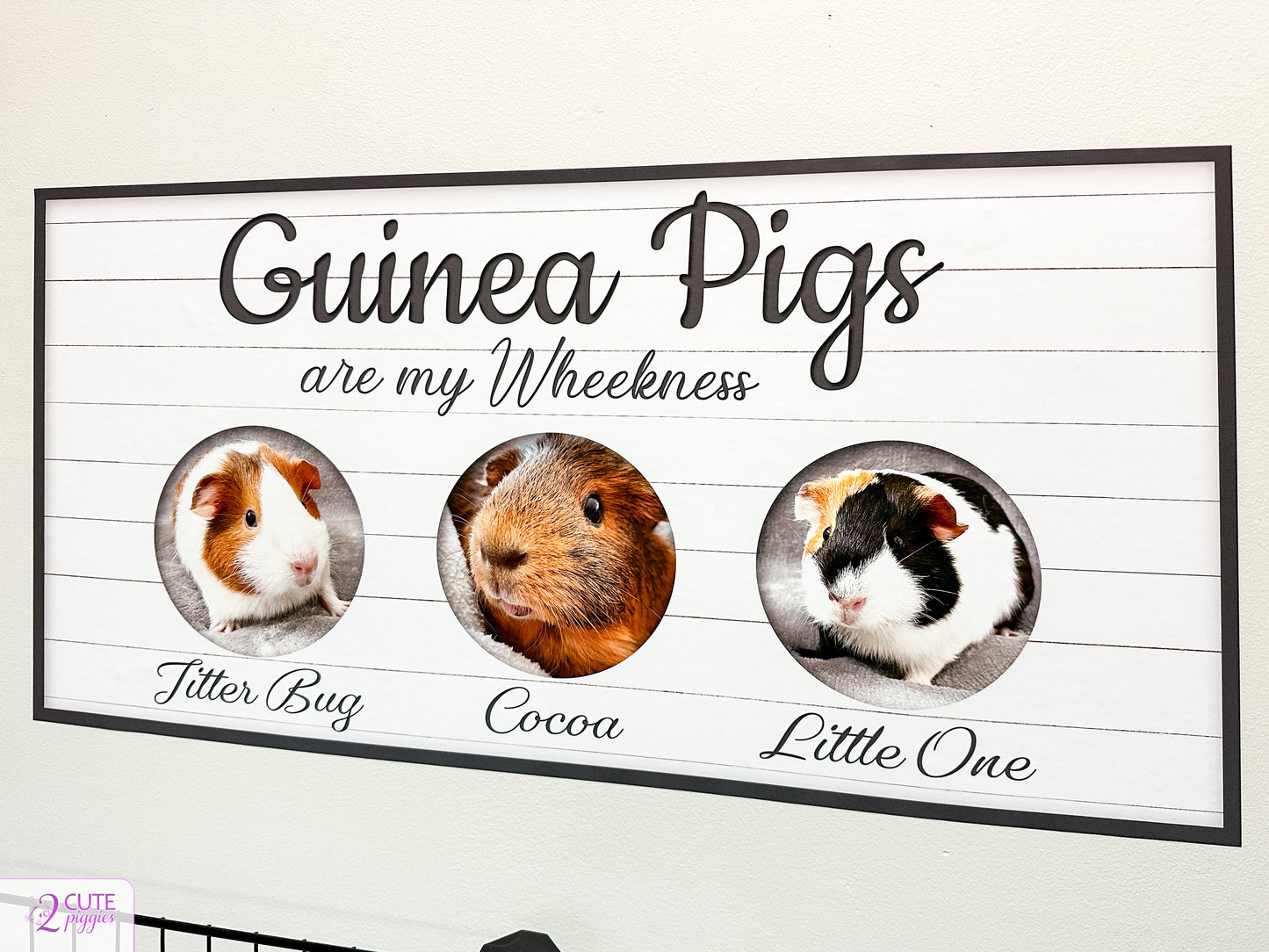 Guinea Pig Sign Wall Decal with Pictures of Your Guinea Pigs- Multiple Photo