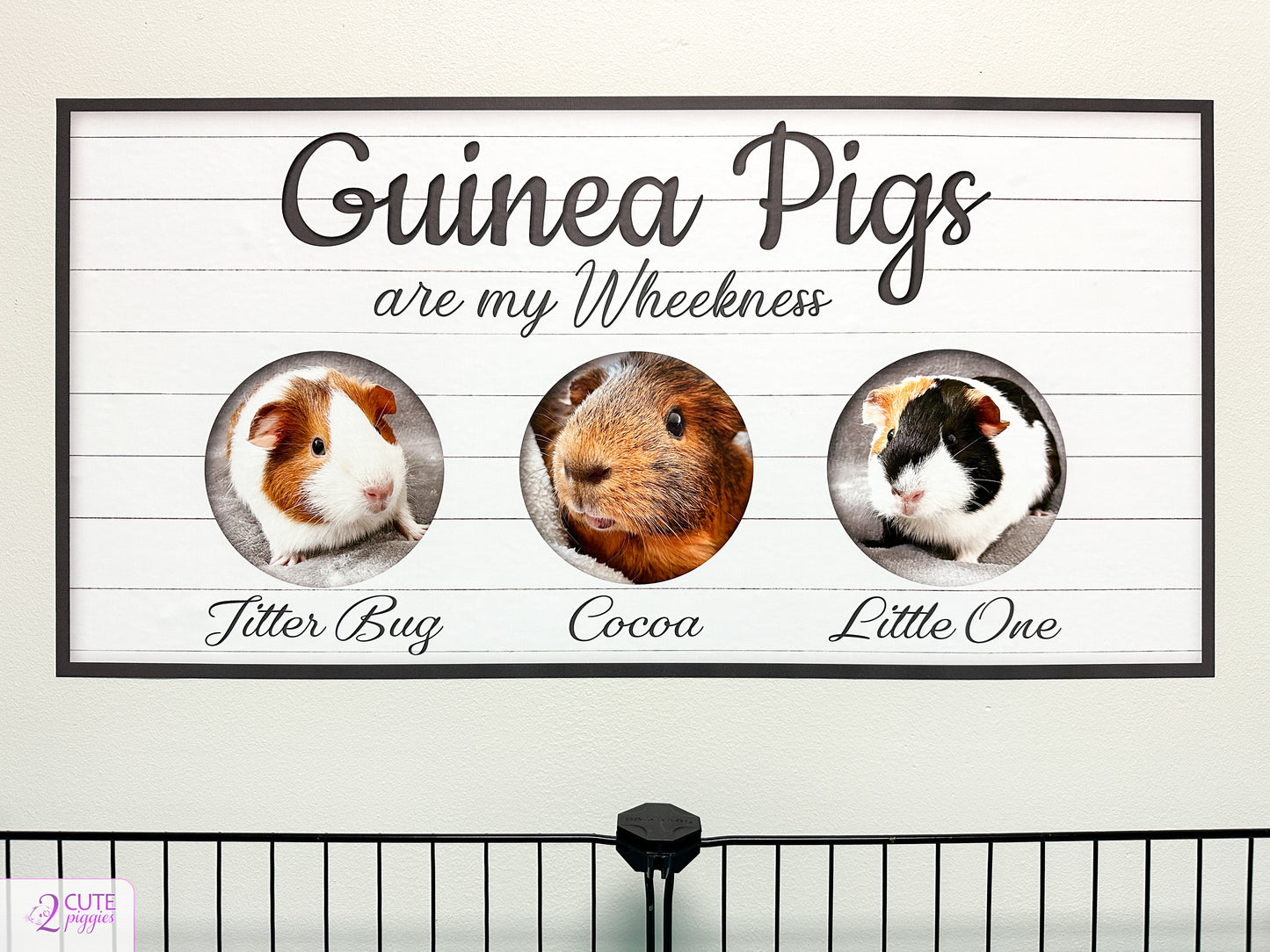 Guinea Pig Sign Wall Decal with Pictures of Your Guinea Pigs- Multiple Photo