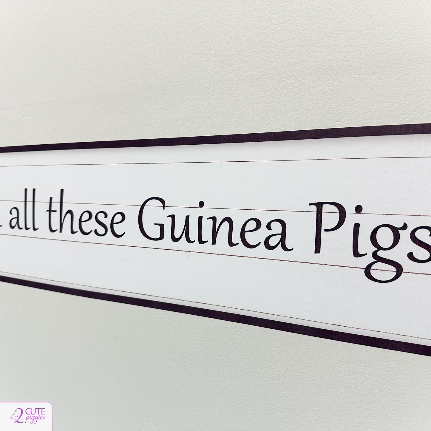 Guinea Pig Sign Wall Decal - Choice of Saying