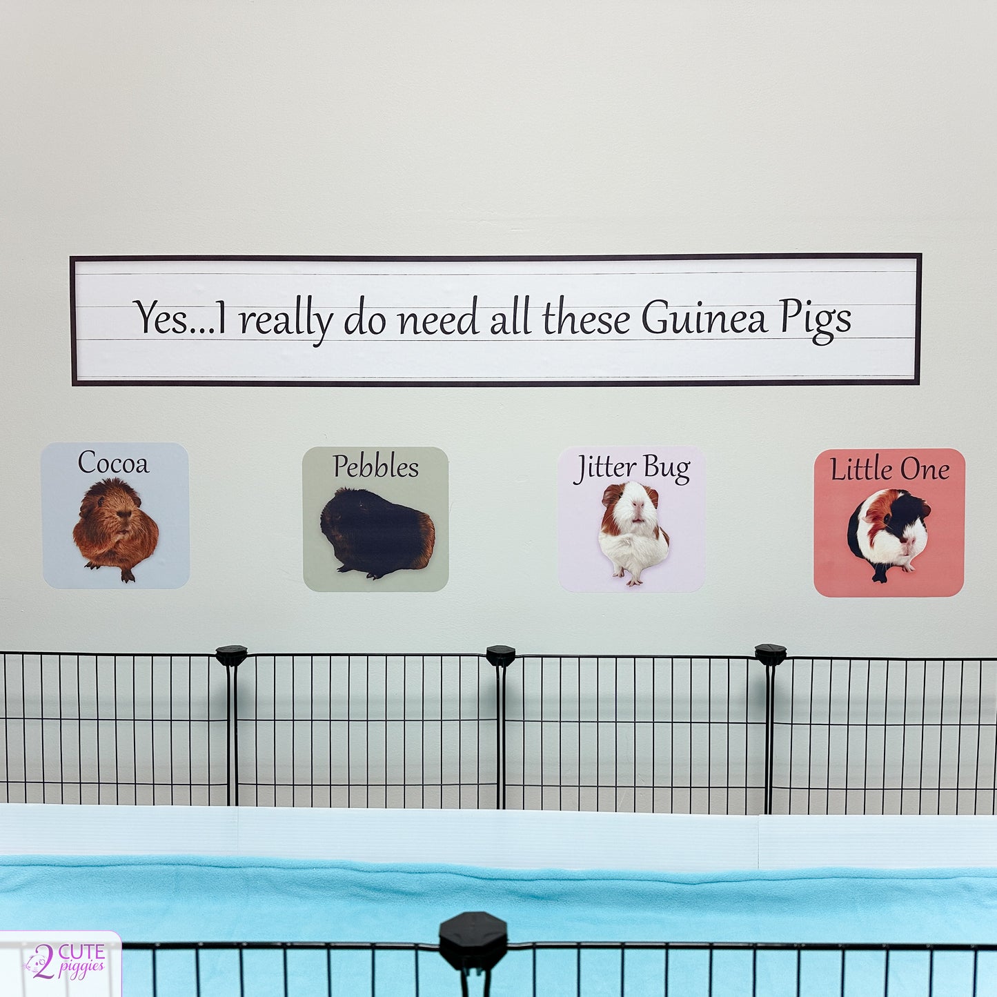 Guinea Pig Sign Wall Decal - Choice of Saying