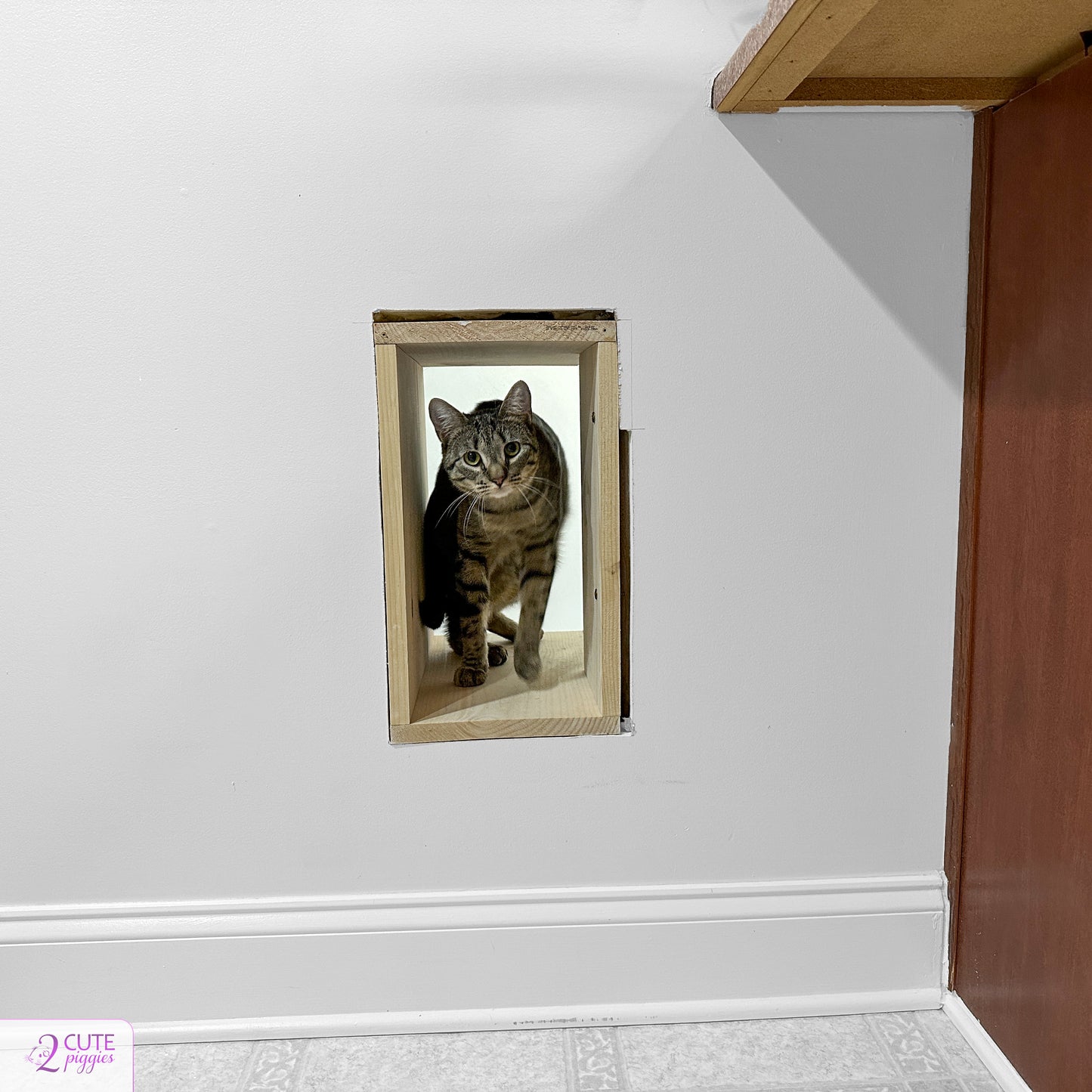 Pet Door Frame - Cat Door Frame