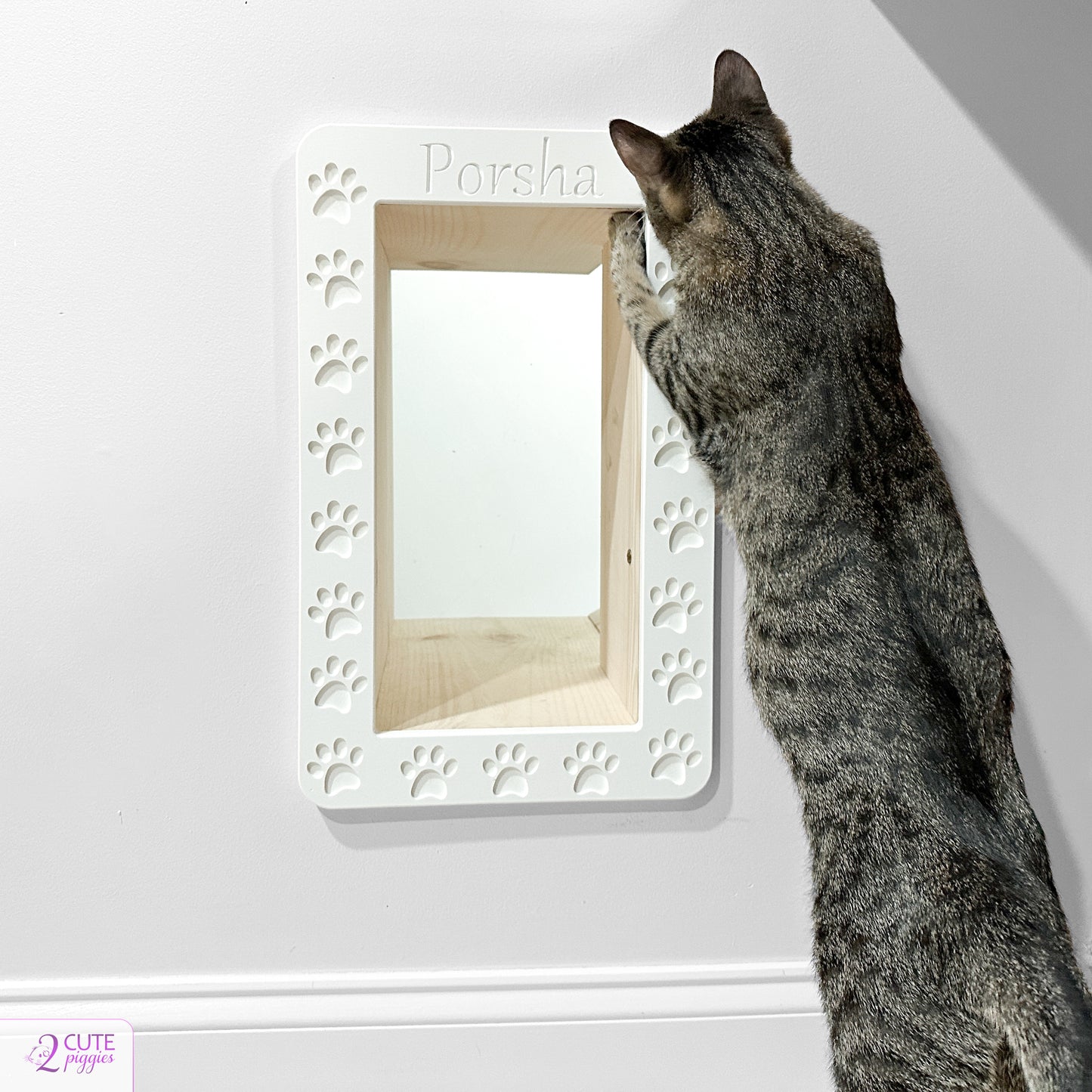 Pet Door Frame - Cat Door Frame