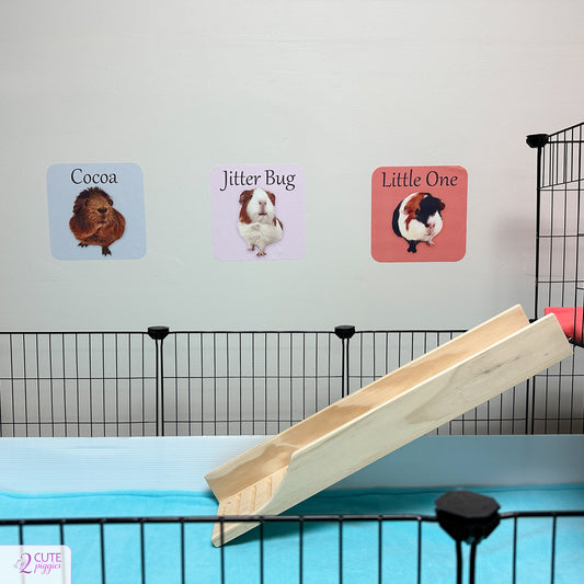 Guinea Pig Name Sign Wall Decal with Picture of Your Guinea Pig