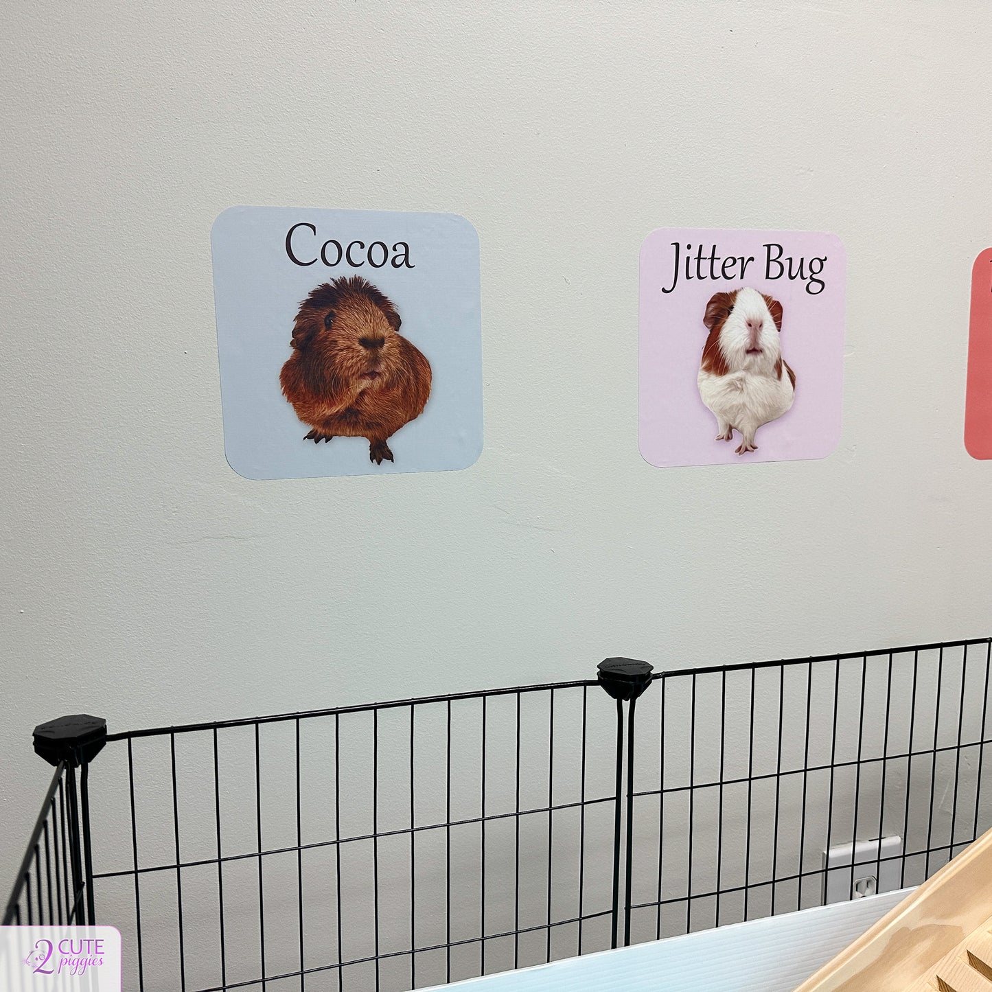 Guinea Pig Name Sign Wall Decal with Picture of Your Guinea Pig