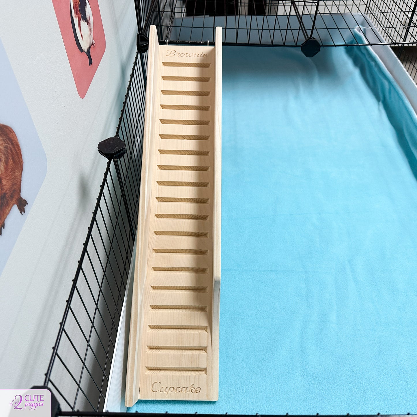 Guinea Pig Ramp with Sides - 5.5" Width Notched End