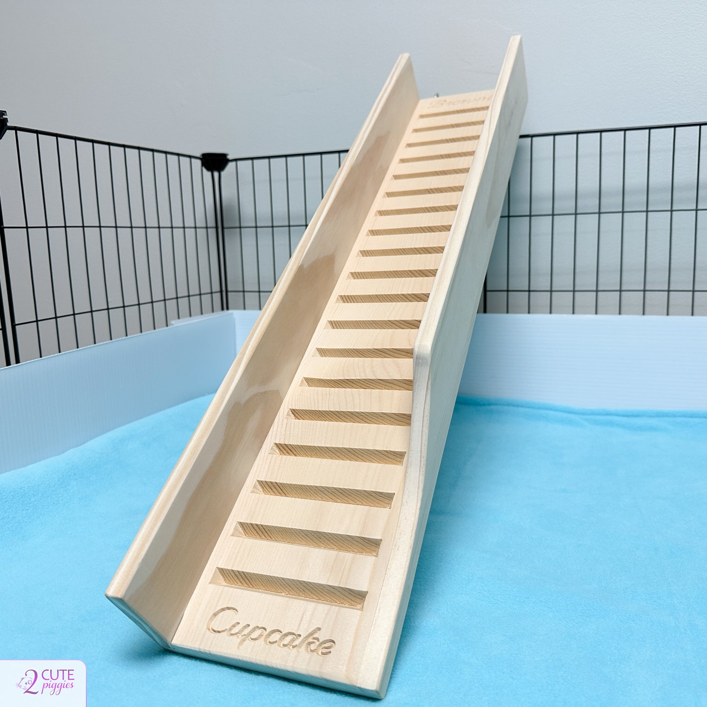 Guinea Pig Ramp with Sides - 5.5" Width Notched End