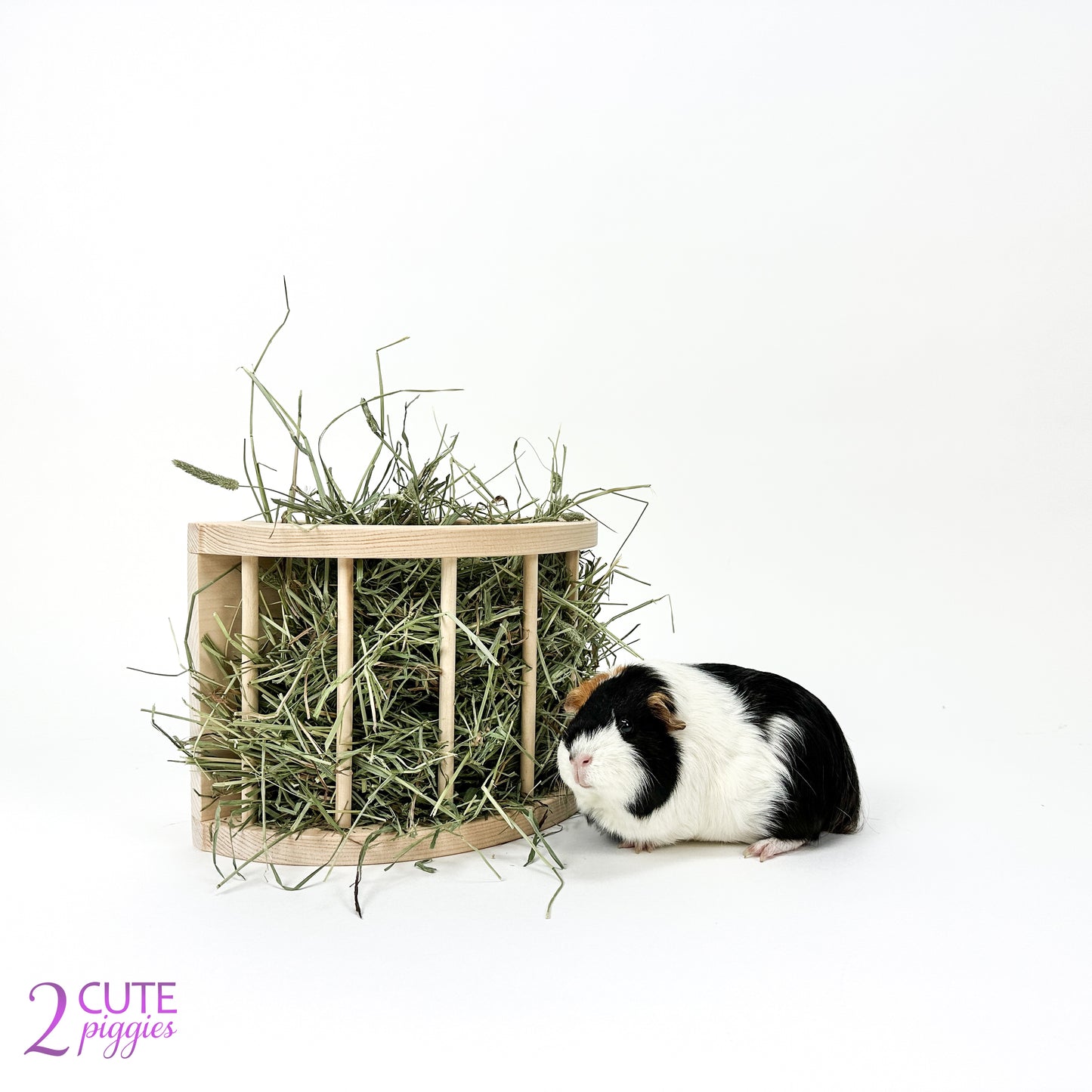 Guinea Pig Hay Feeder - Half Circle