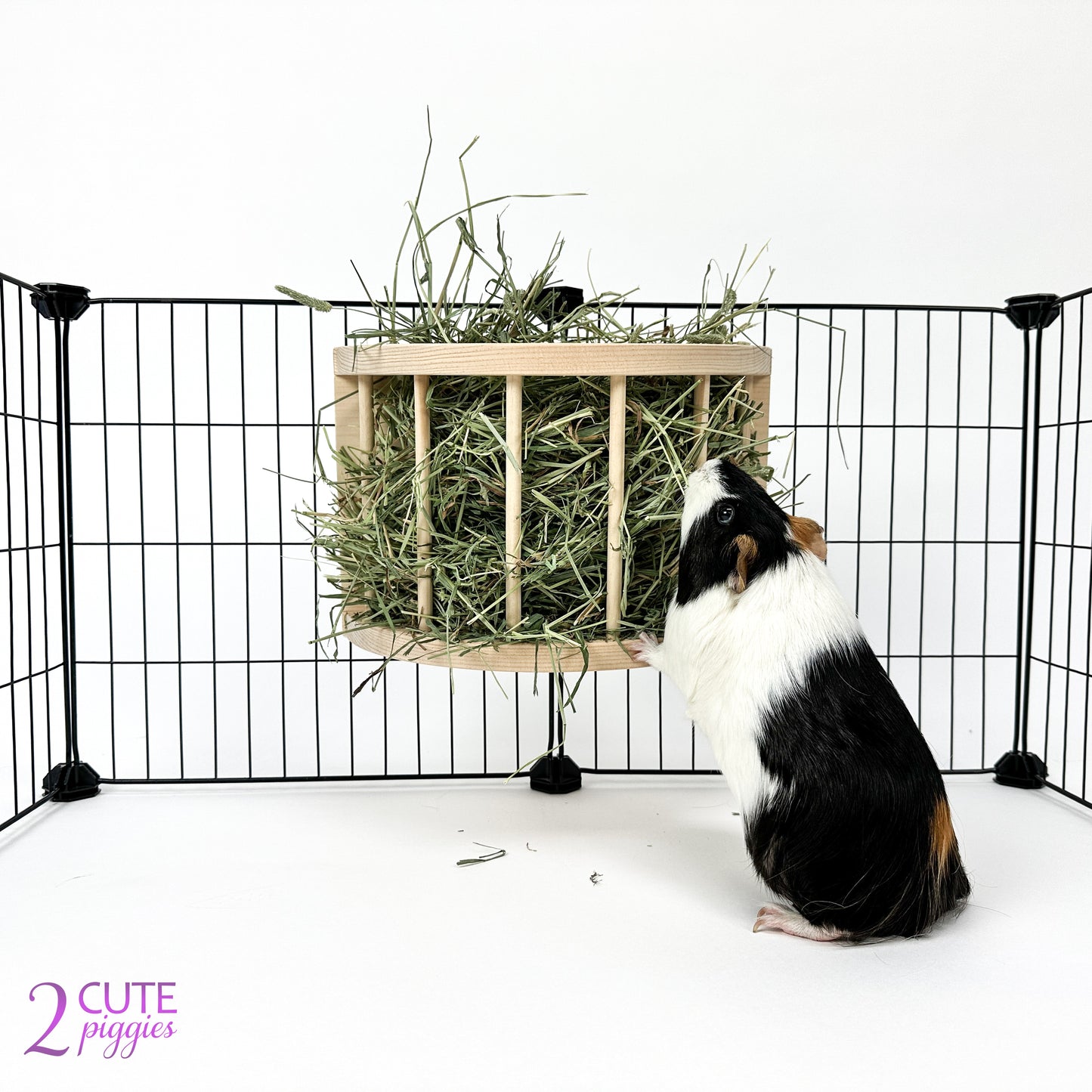 Guinea Pig Hay Feeder - Half Circle