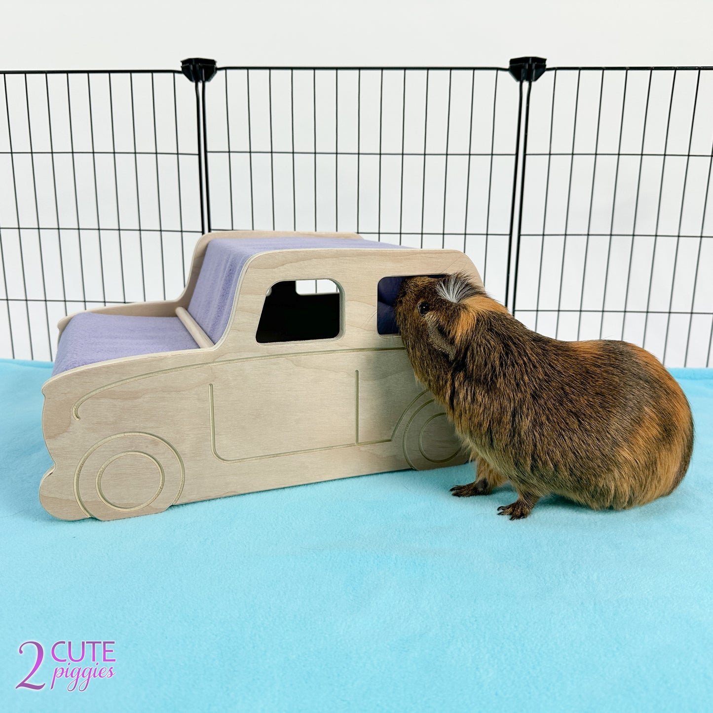 Car Guinea Pig Hidey