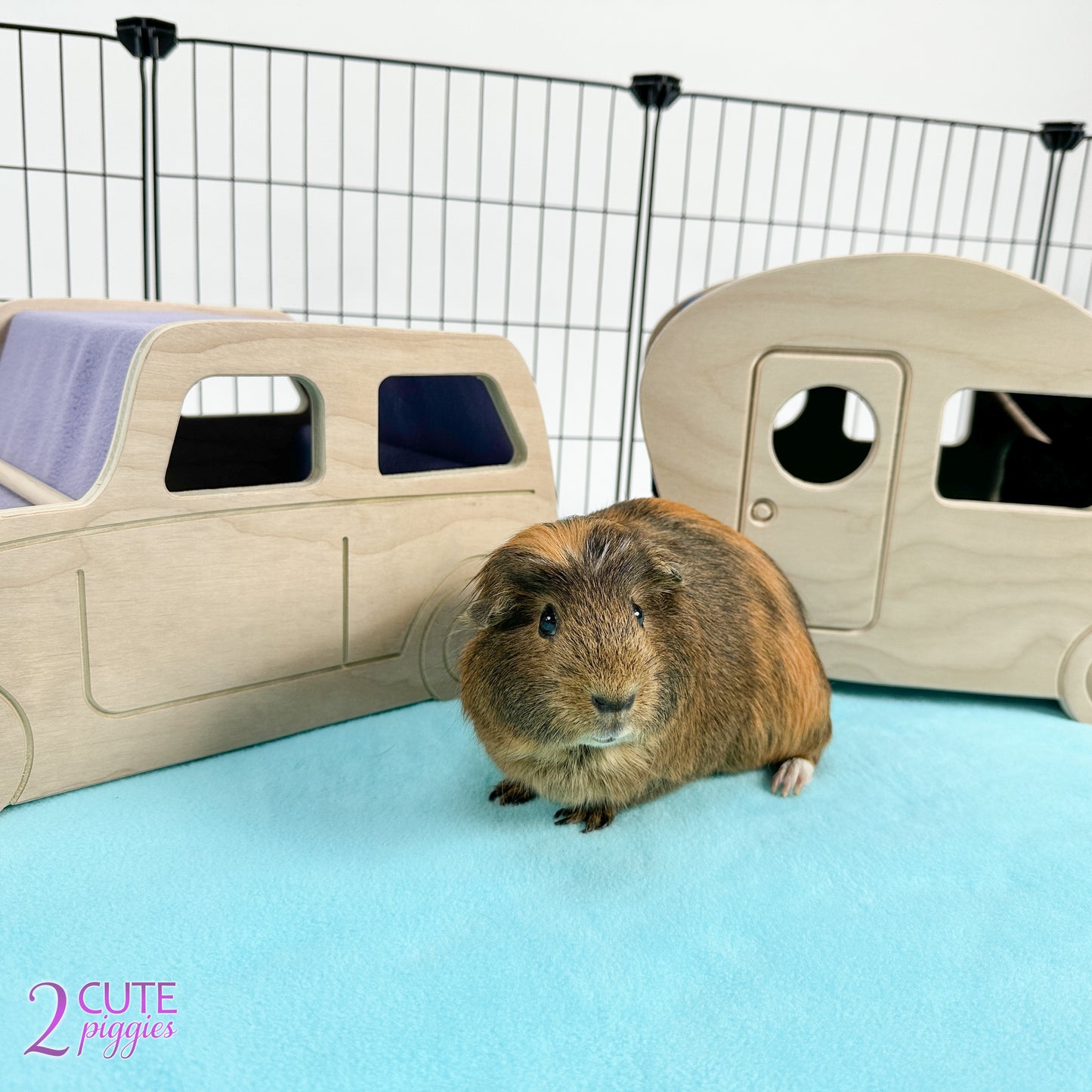 Car Guinea Pig Hidey