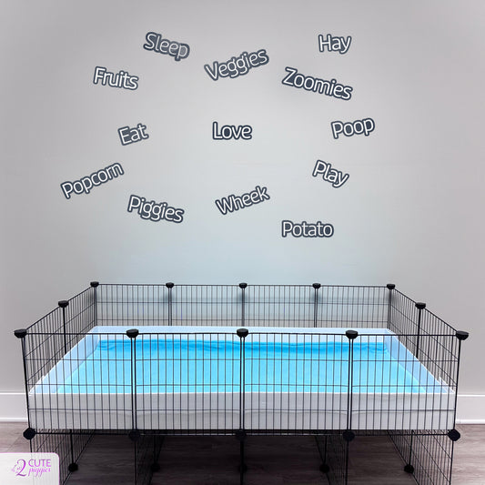 Guinea Pig Words Wall Decals