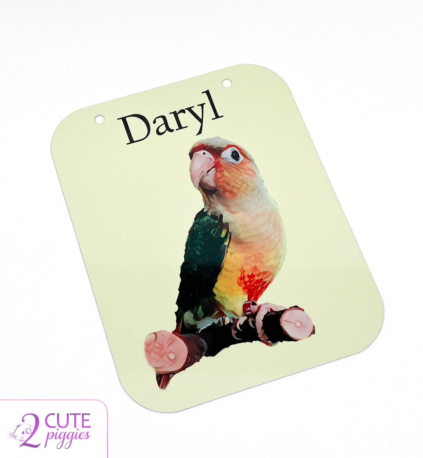 Bird Name Tag with Picture of Your Bird - Oil Effect - Cage Tag